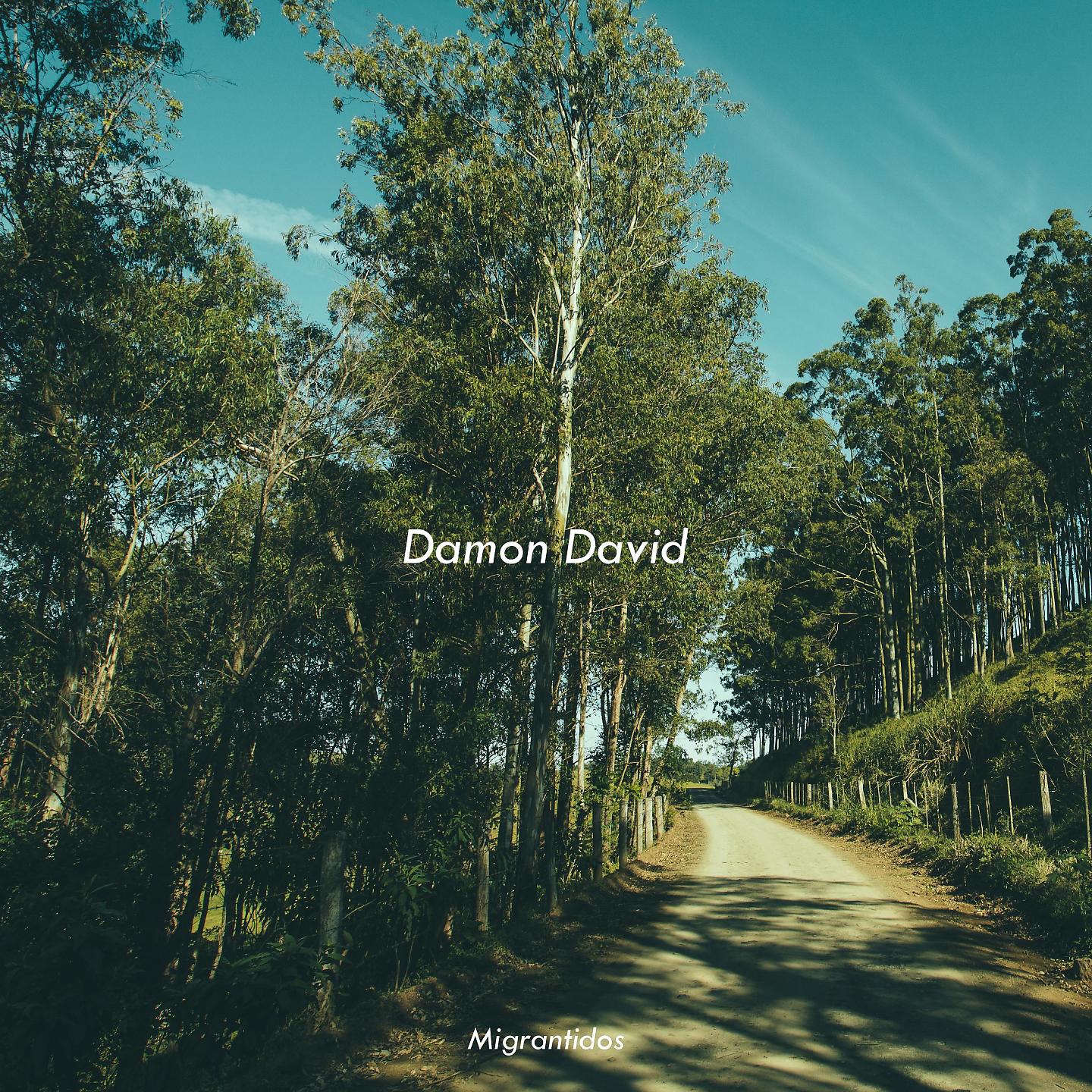 Постер альбома Damon David