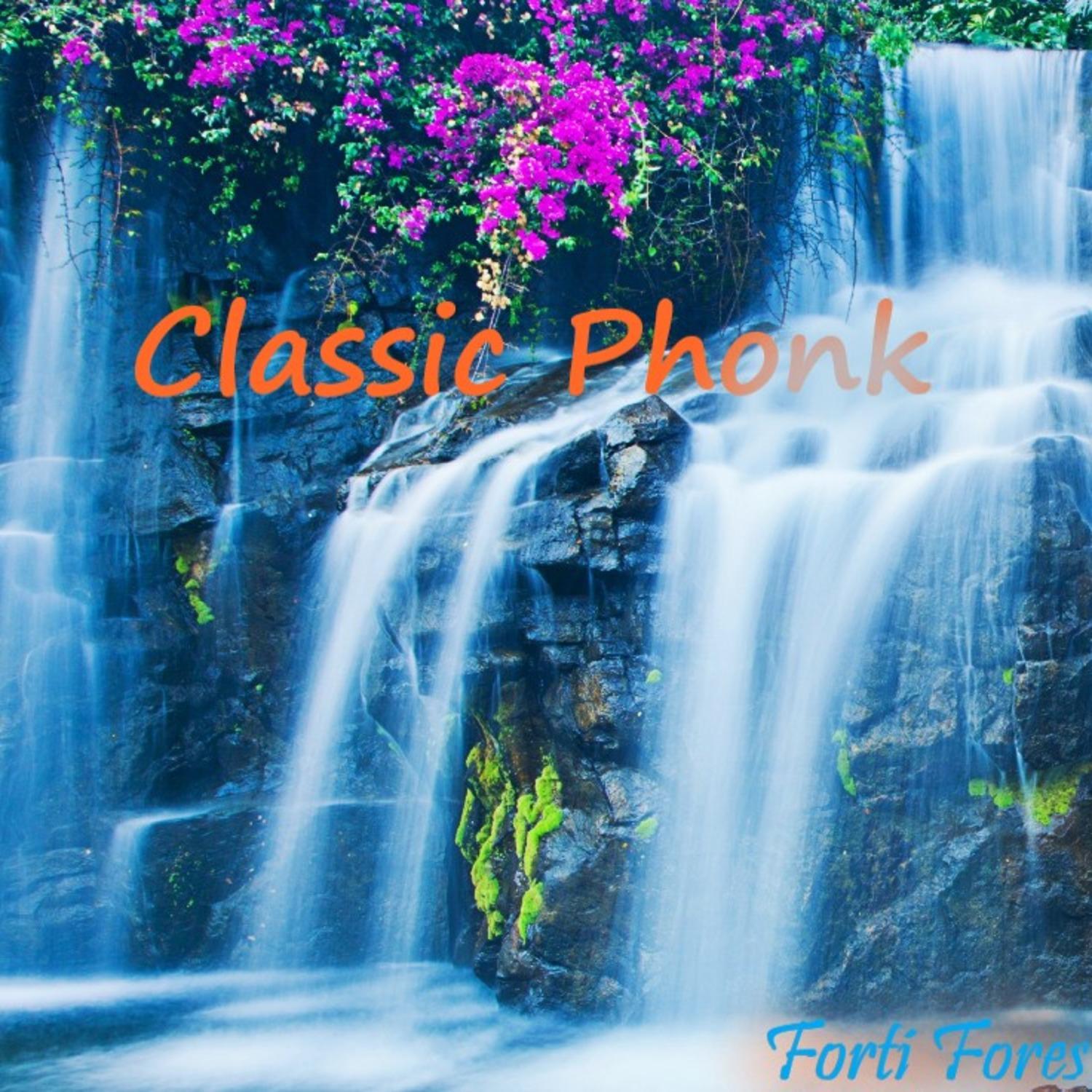 Постер альбома Classic Phonk