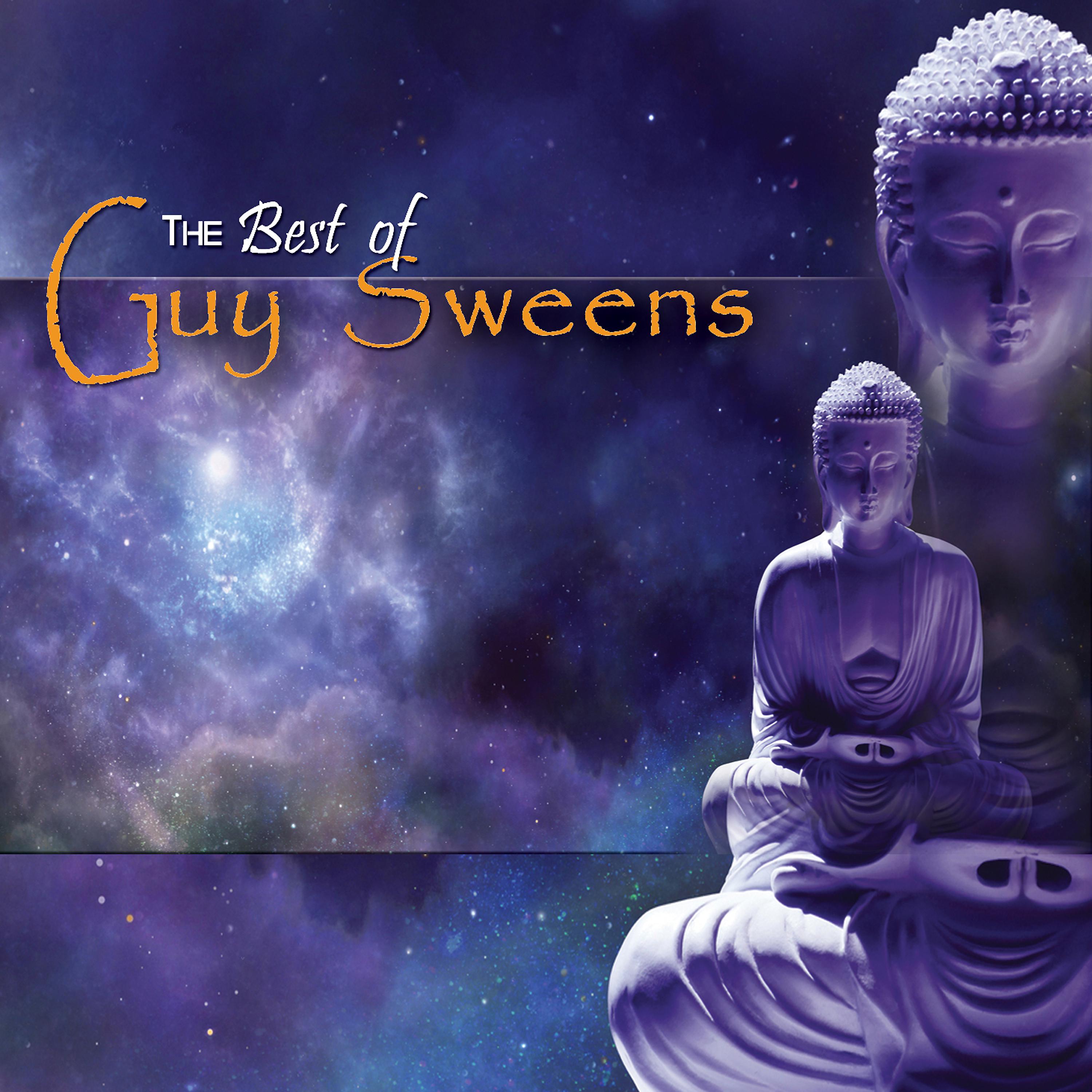 Постер альбома The Best of Guy Sweens