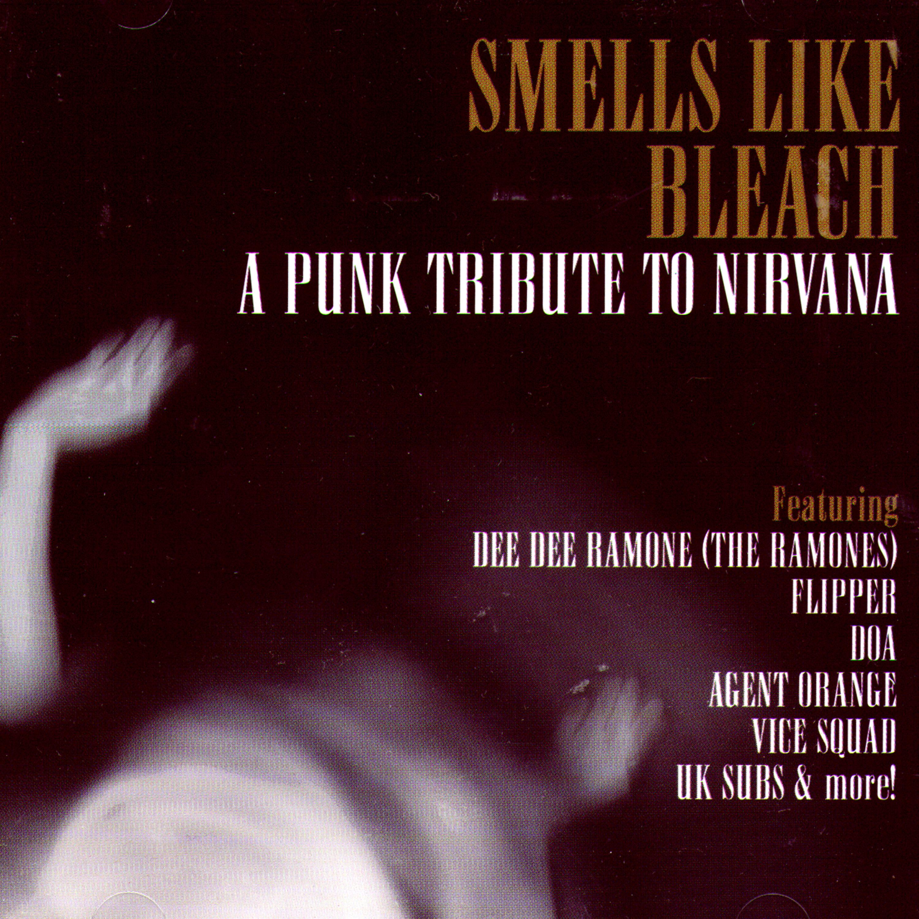 Постер альбома Smells Like Bleach: A Punk Tribute To Nirvana