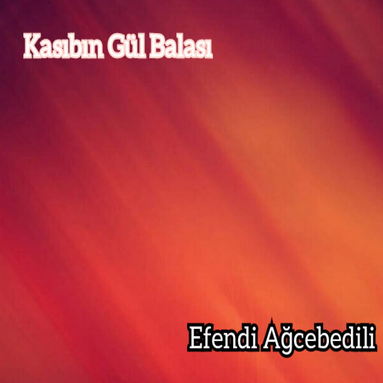 Постер альбома Kasıbın Gül Balası
