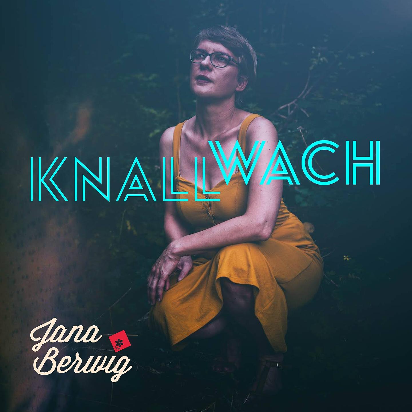 Постер альбома Knallwach