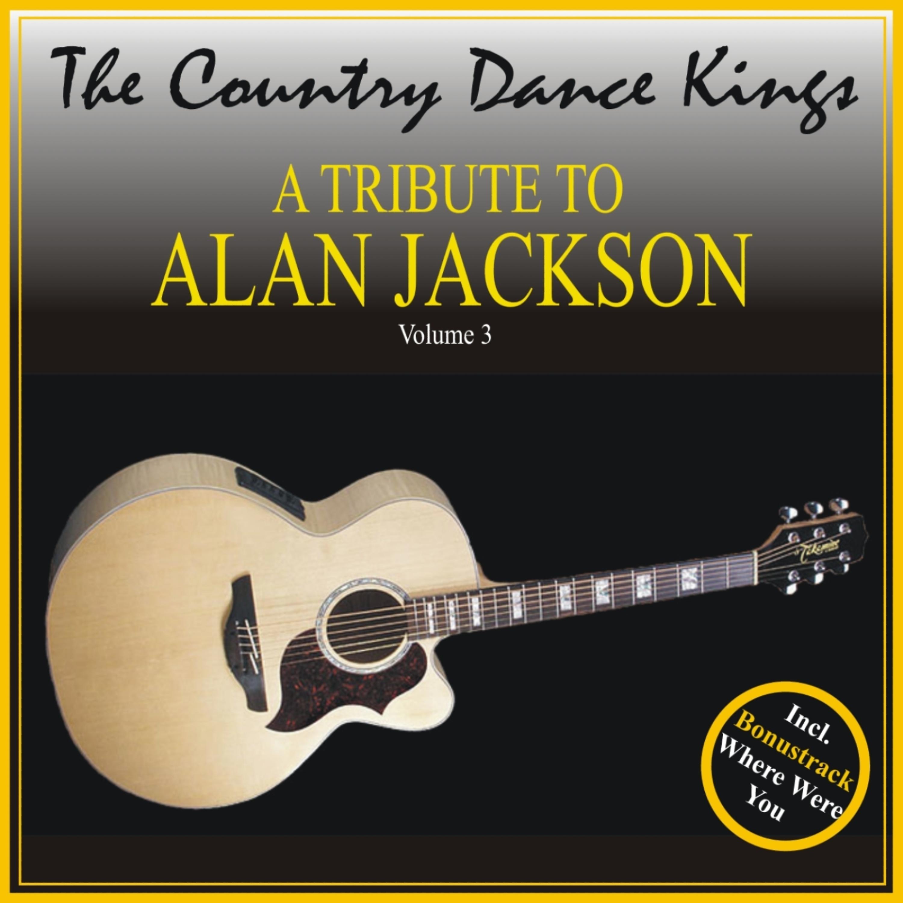 Постер альбома A Tribute to Alan Jackson, Volume 3