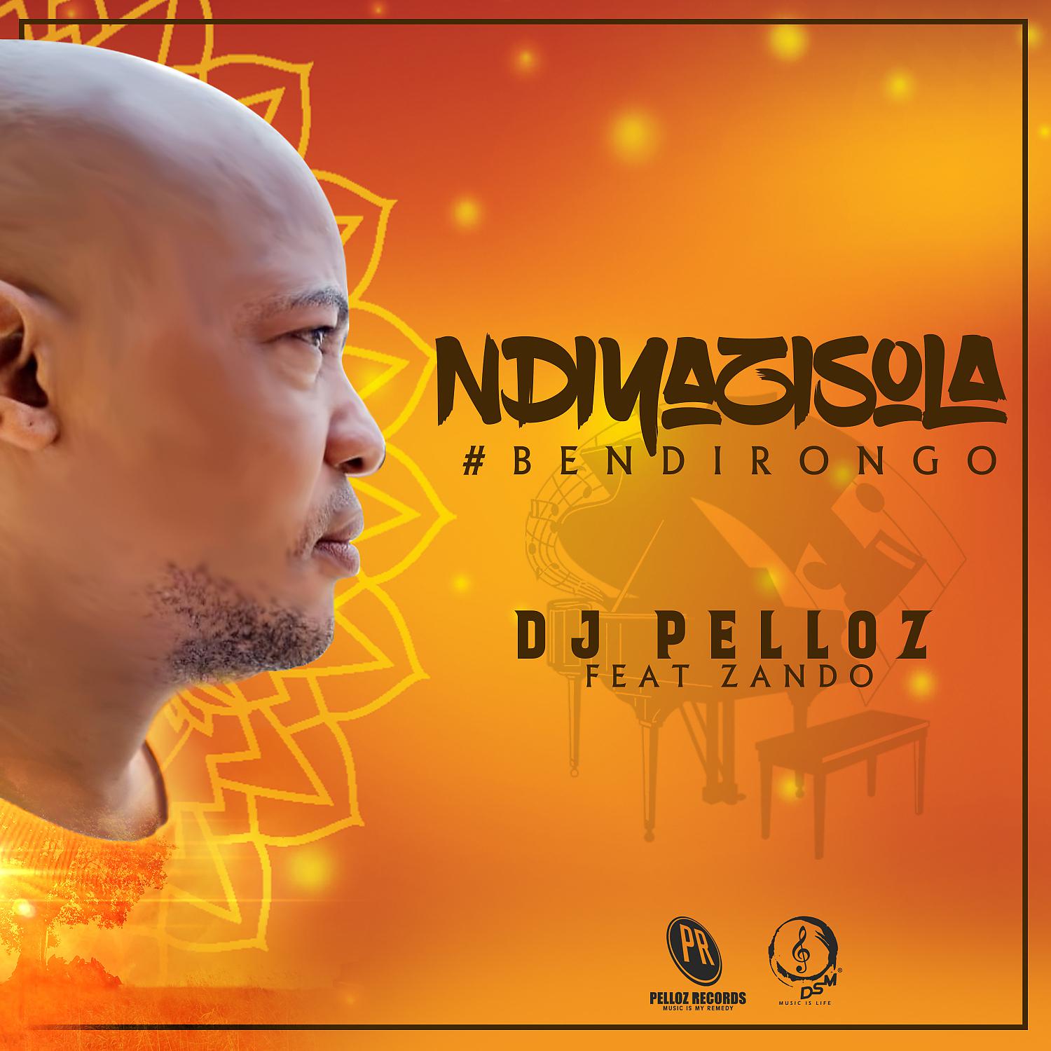 Постер альбома Ndiyazisola (feat. Zando)