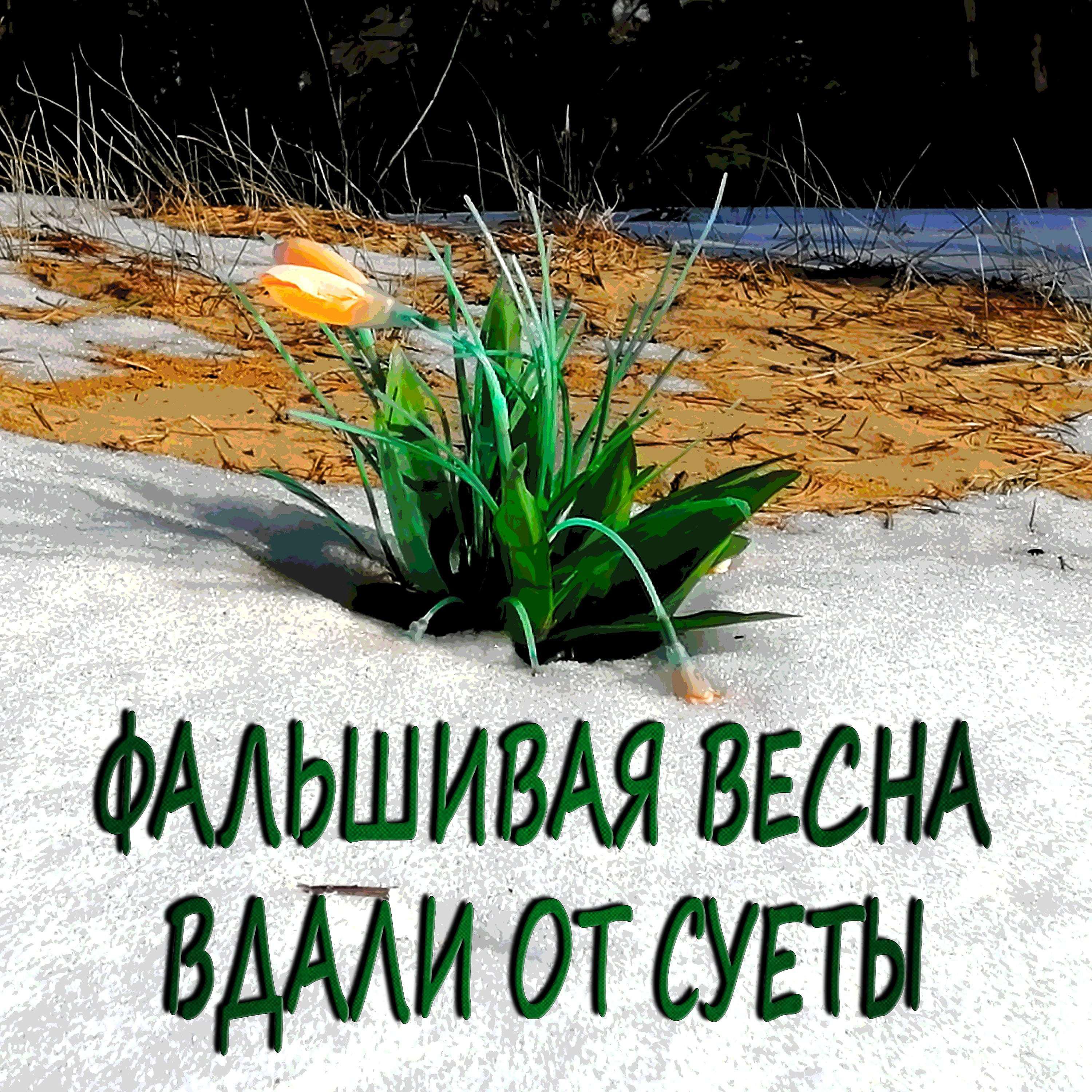Постер альбома Фальшивая весна
