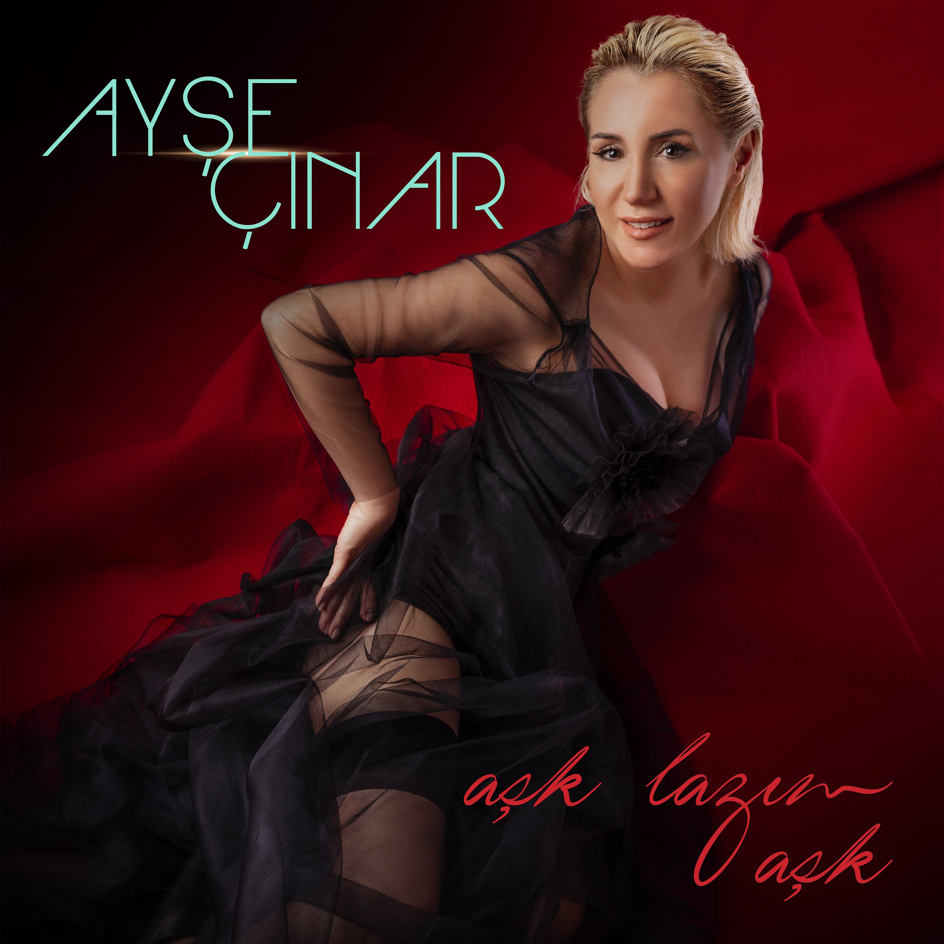 Постер альбома Aşk Lazım Aşk