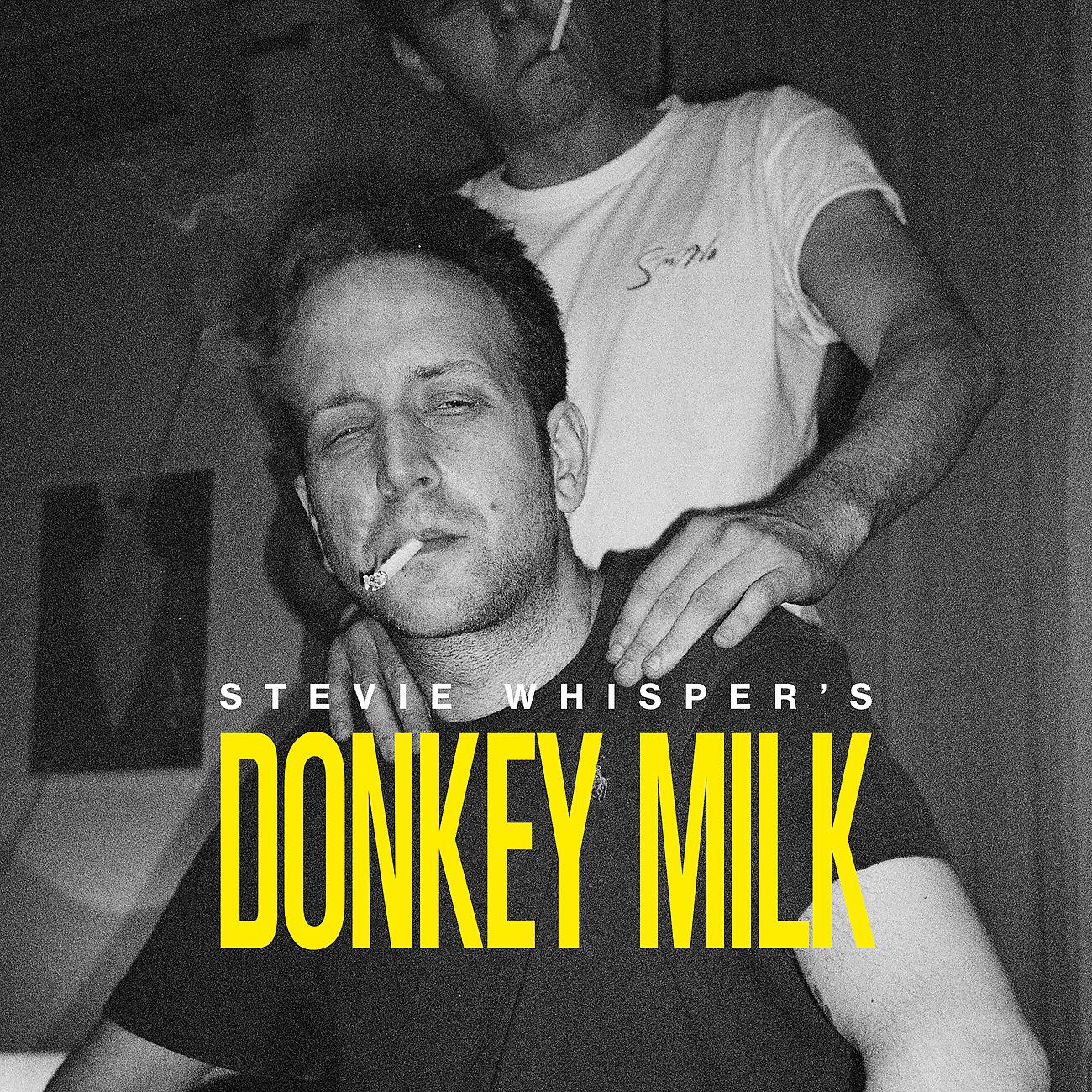 Постер альбома Donkey Milk