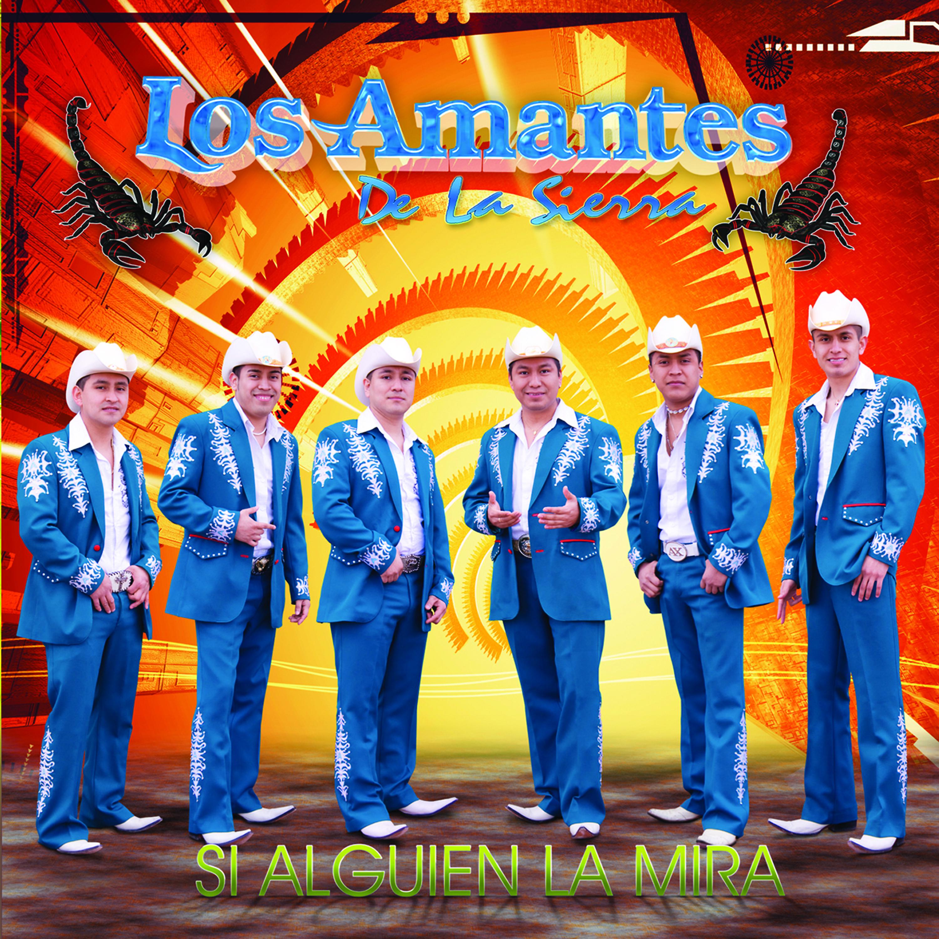 Постер альбома Si Alguien La Mira