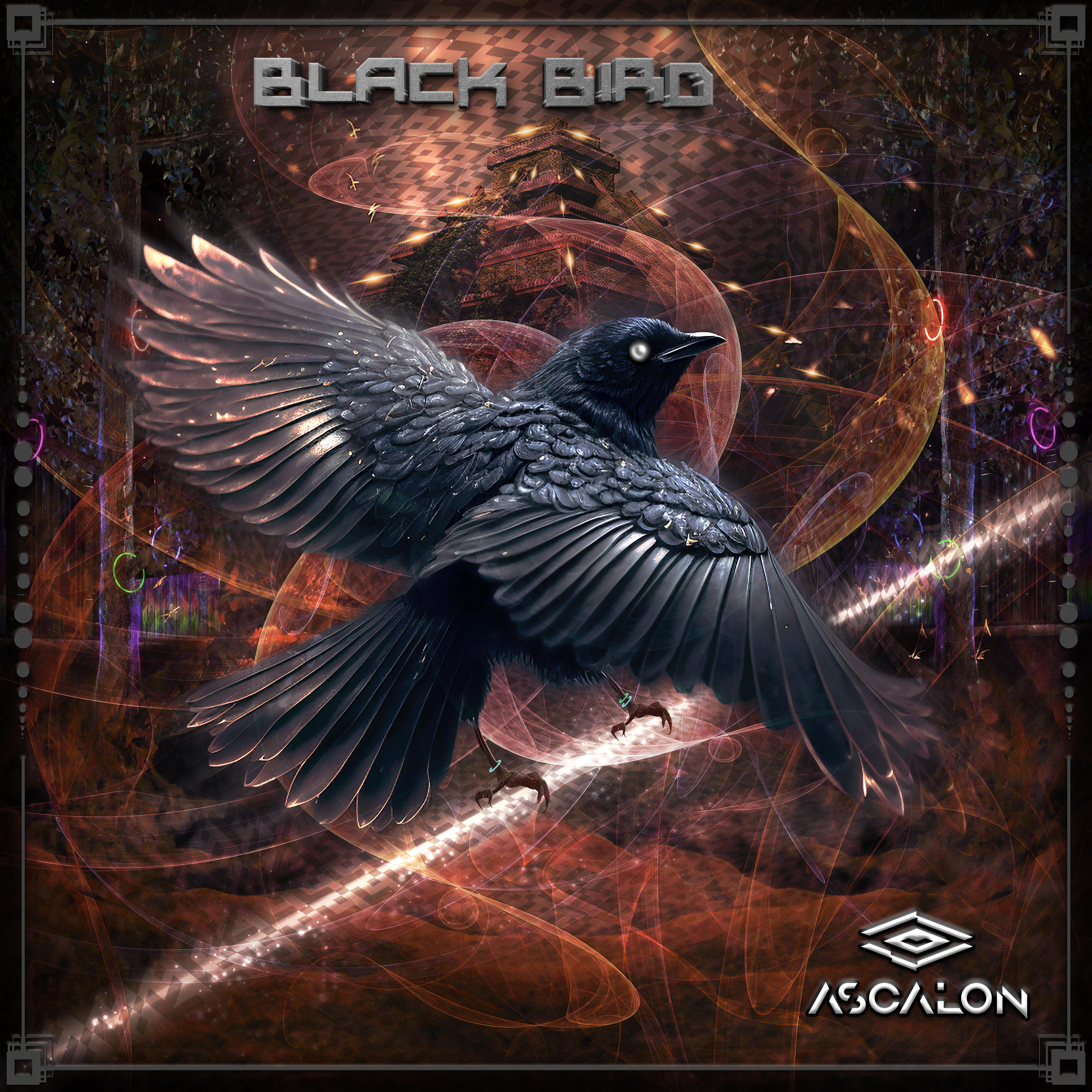 Постер альбома Black Bird