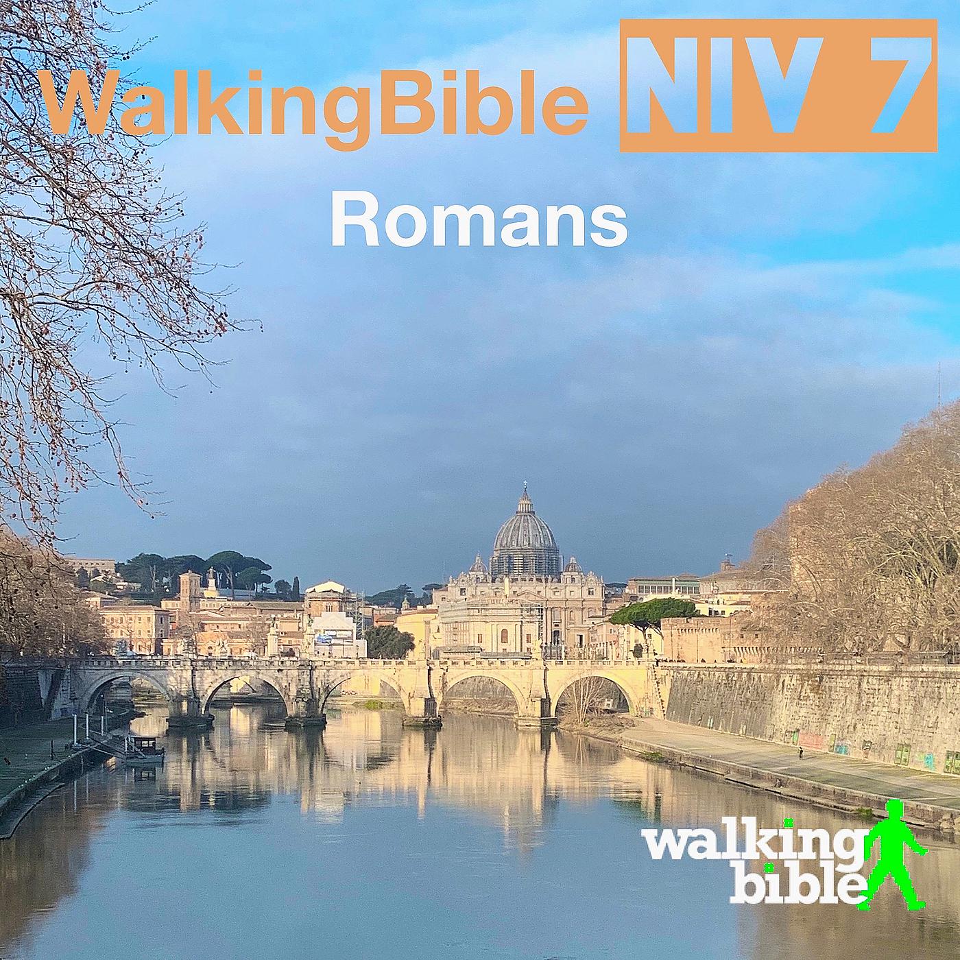 Постер альбома WalkingBible Niv 7 Romans
