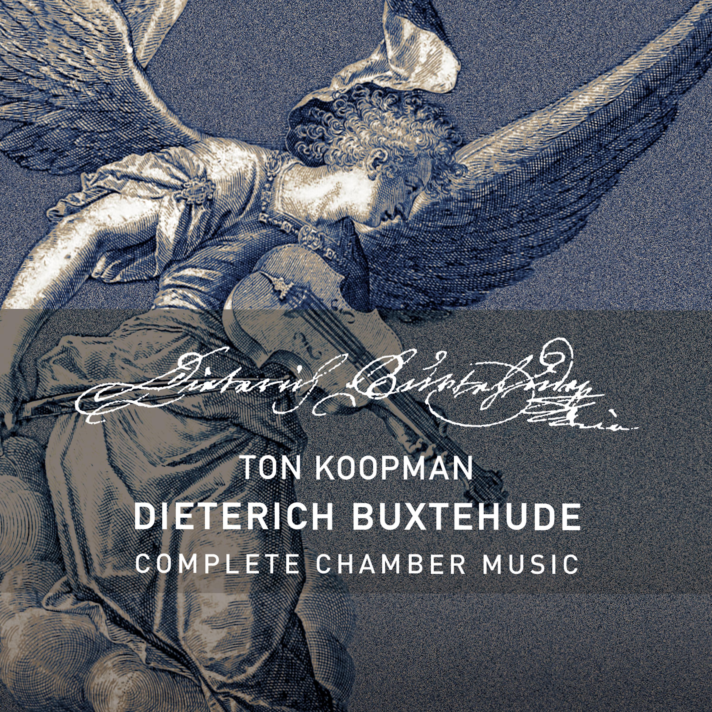 Постер альбома Buxtehude: Complete Chamber Music