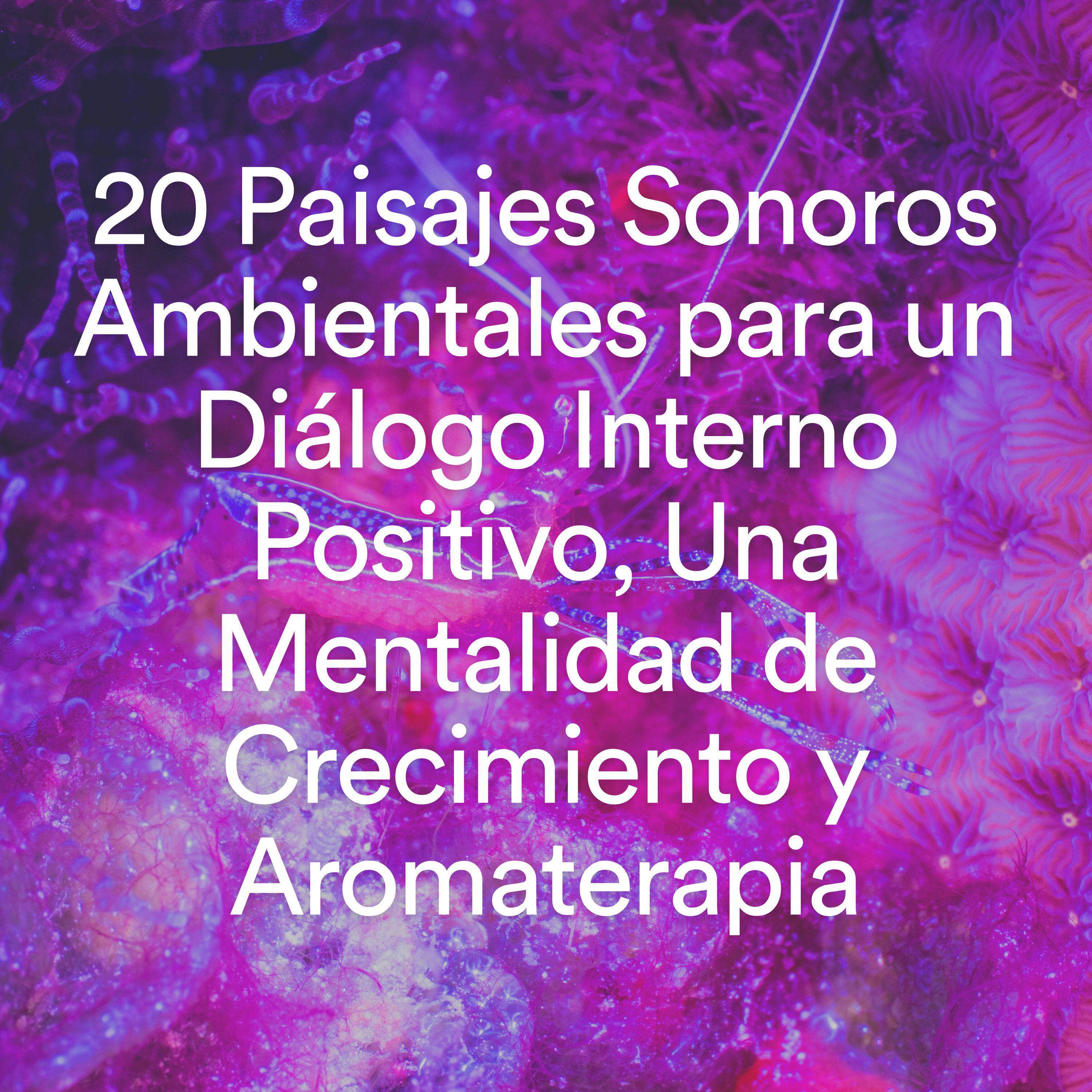 Постер альбома 20 Paisajes Sonoros Ambientales para un Diálogo Interno Positivo, Una Mentalidad de Crecimiento y Aromaterapia