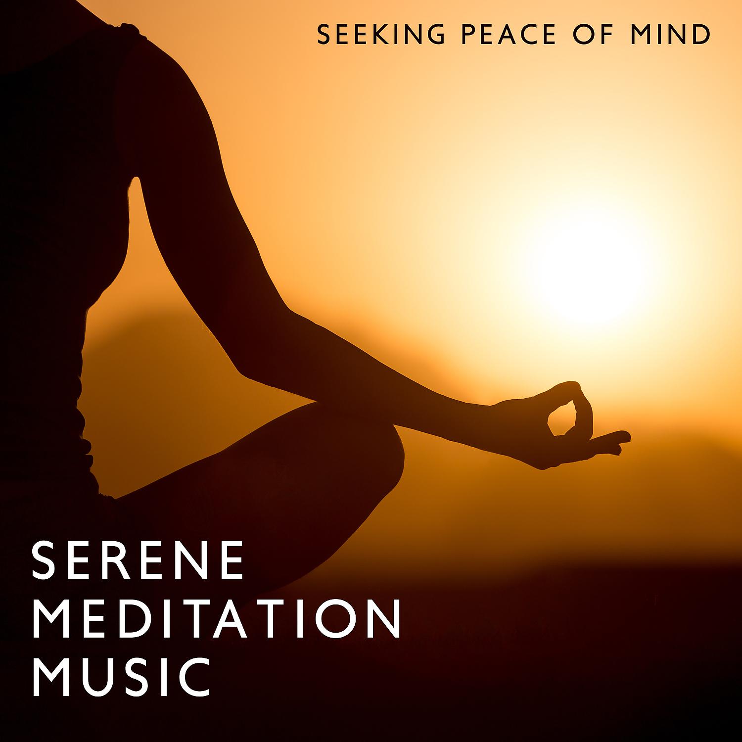 Постер альбома Seeking Peace of Mind: Serene Meditation Music for Stress Relief, Meditative Mind, Find Your Inner Peace, Meditation for Anxiety