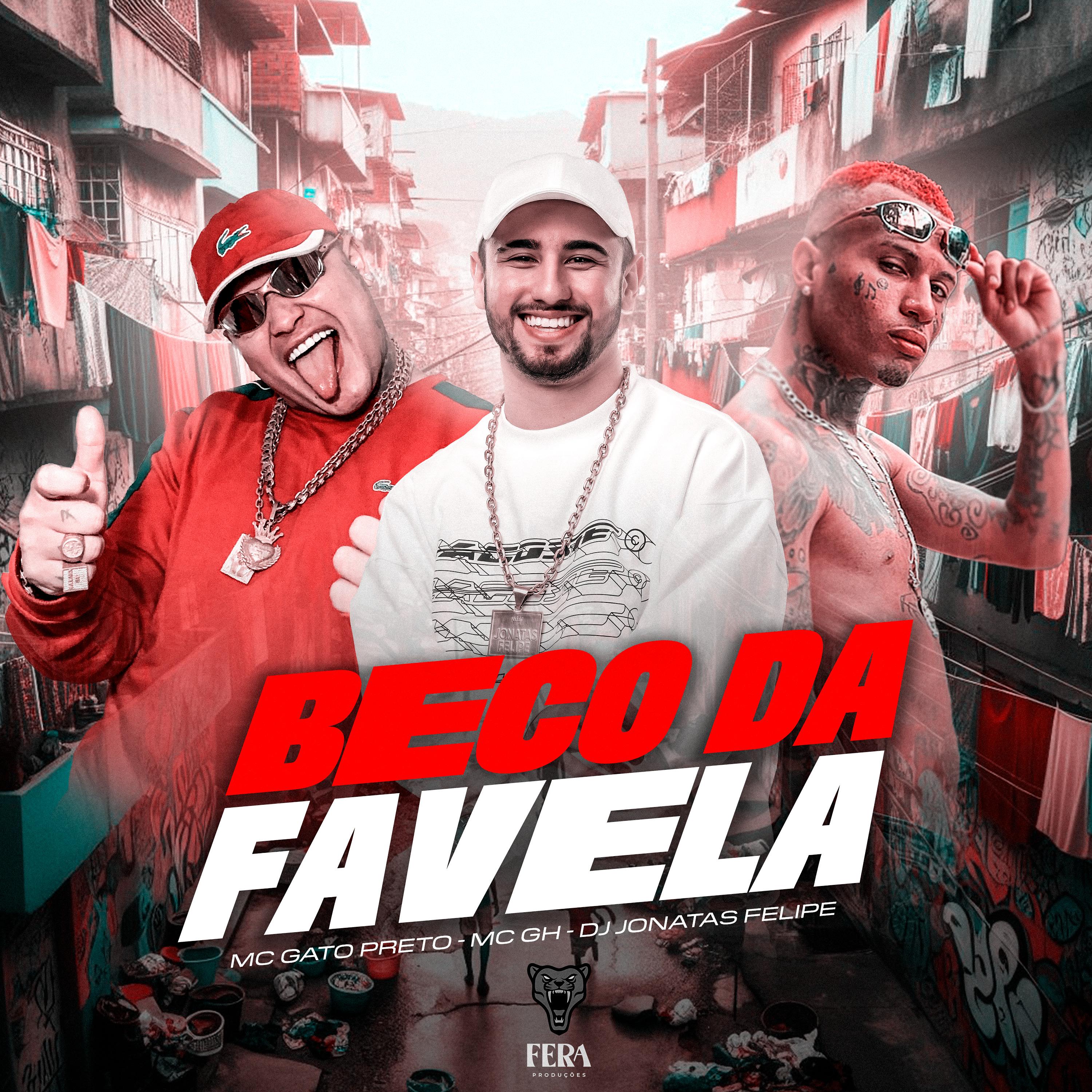 Постер альбома Beco da Favela