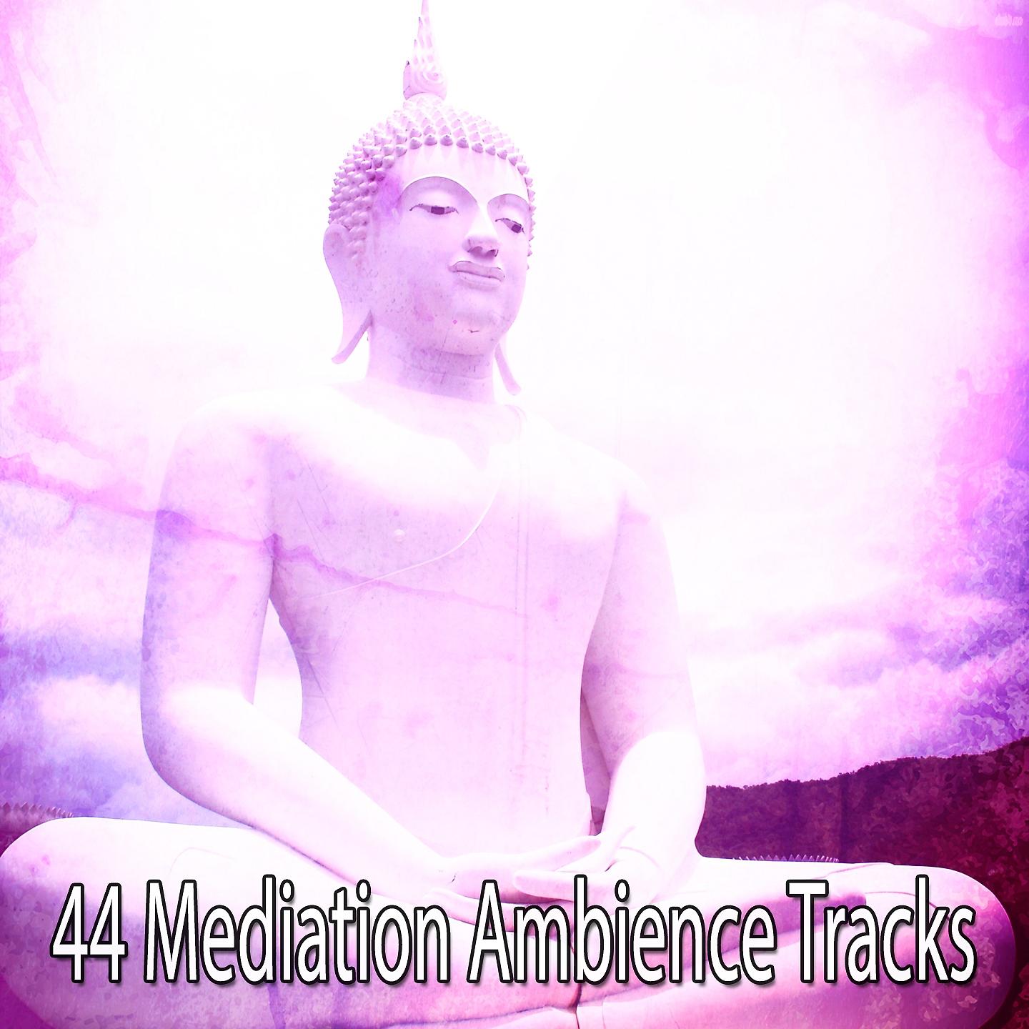 Постер альбома 44 Mediation Ambience Tracks