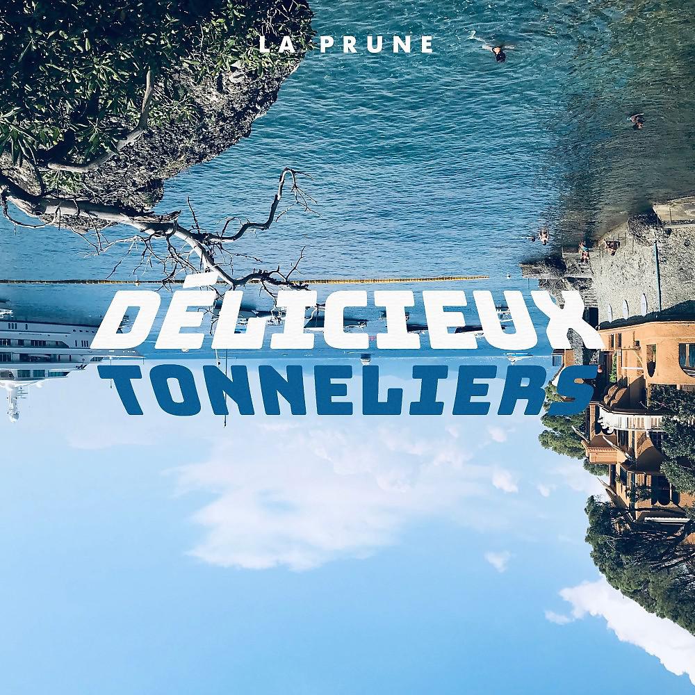 Постер альбома Délicieux tonneliers