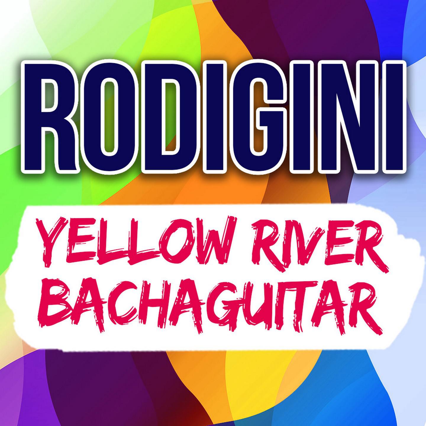 Постер альбома YellowRiver / Bachaguitar