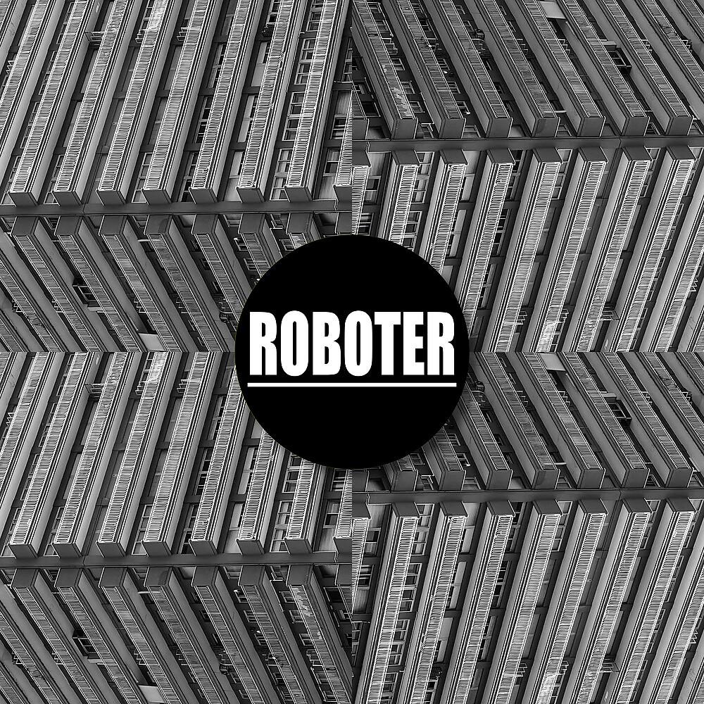 Постер альбома Roboter