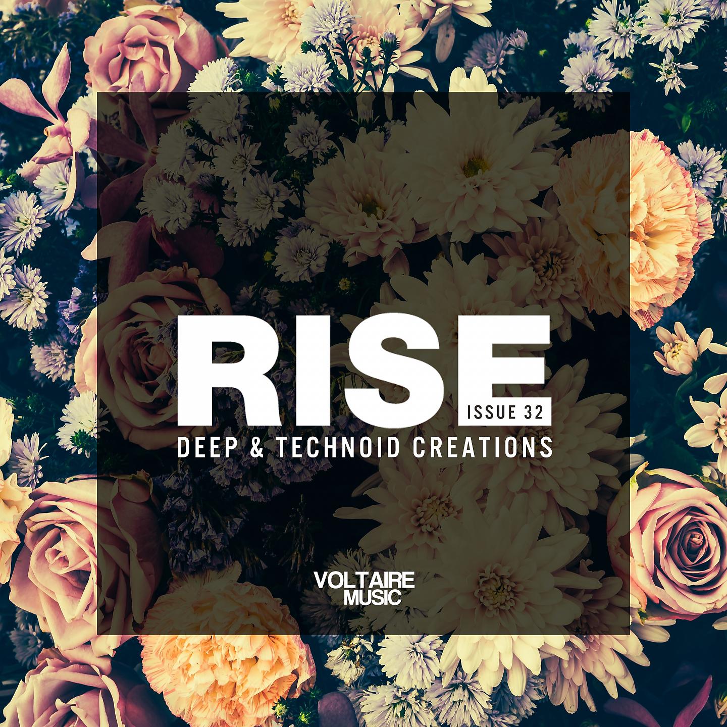 Постер альбома Rise - Deep & Technoid Creations Issue 32
