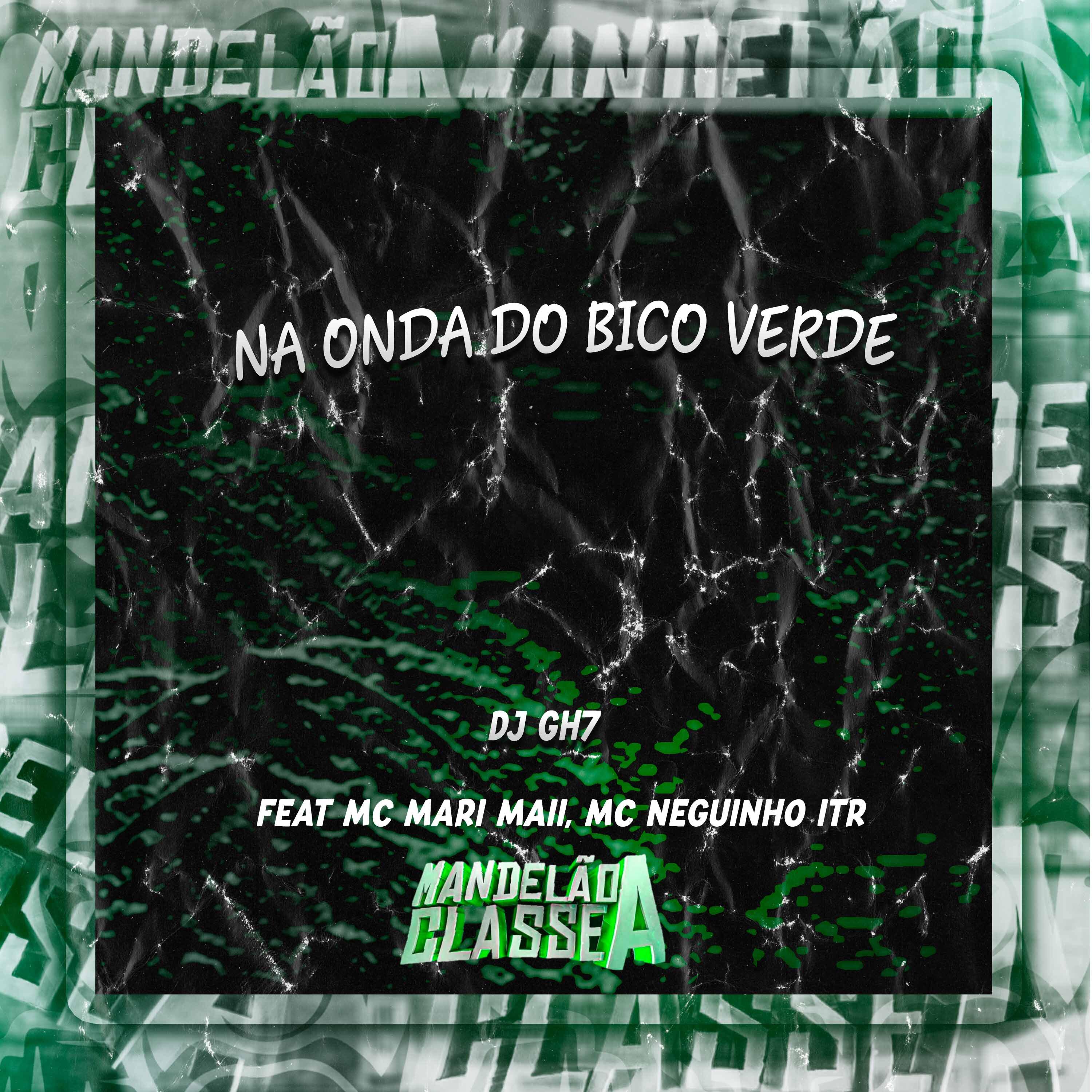 Постер альбома Na Onda do Bico Verde