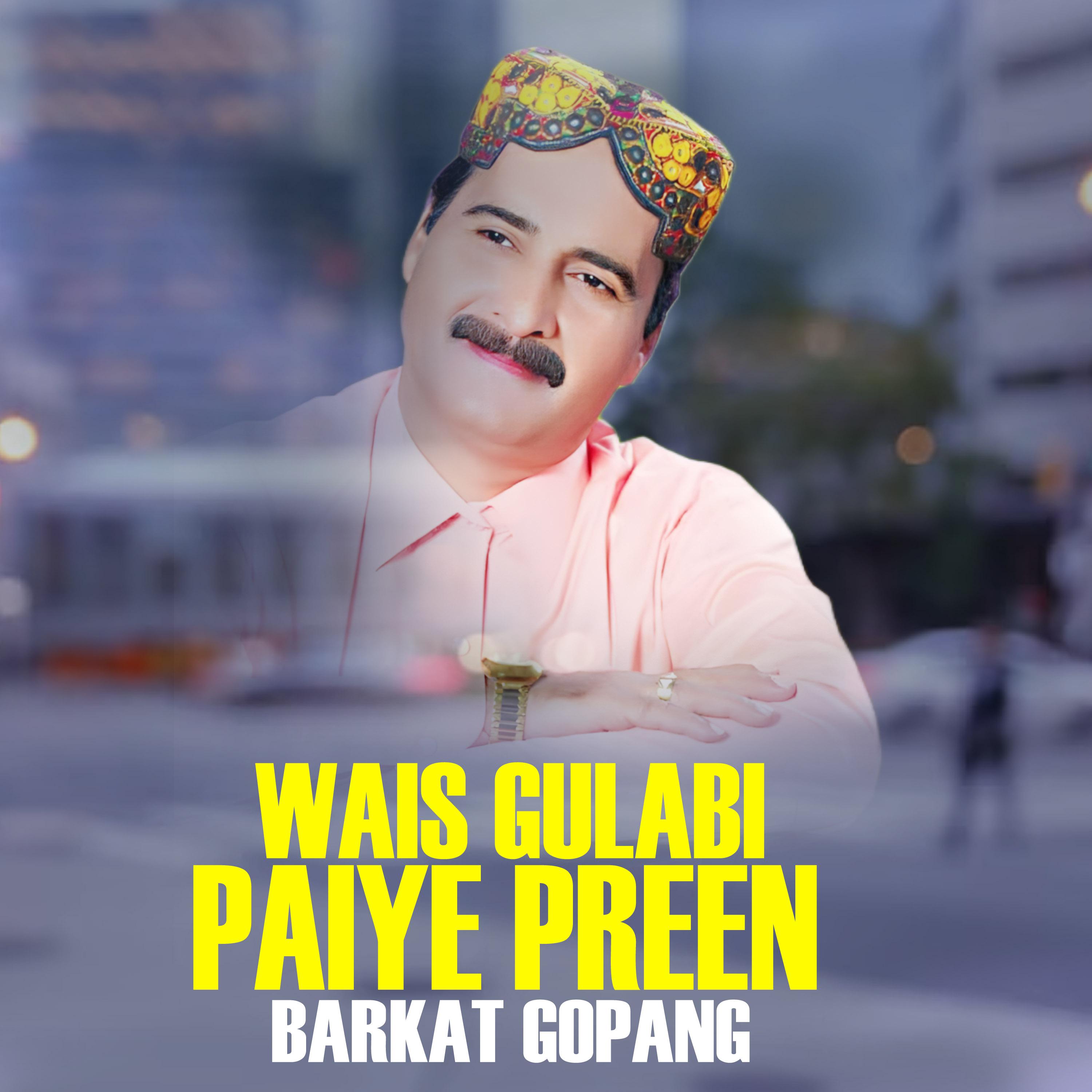Постер альбома Wais Gulabi Paiye Preen