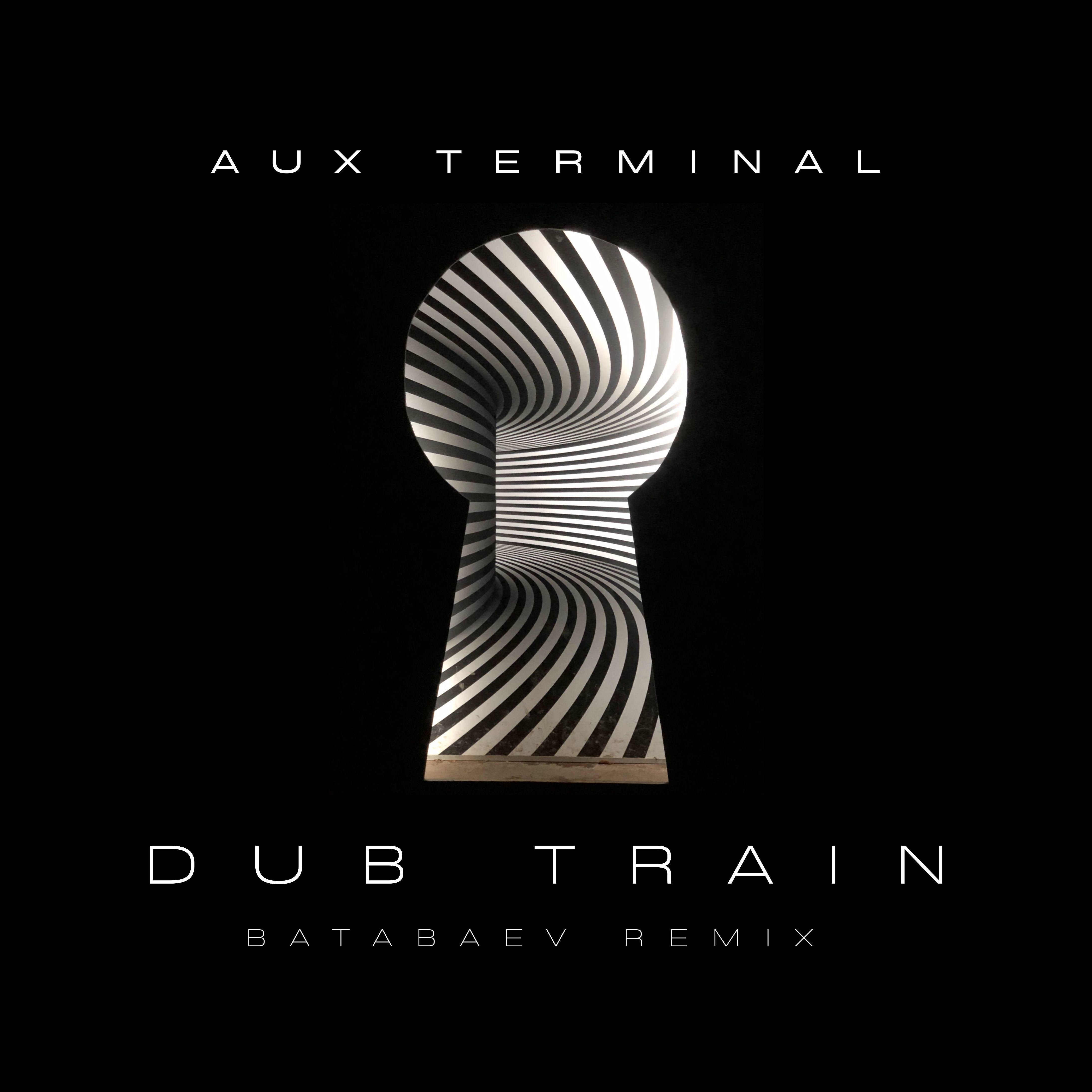 Постер альбома Dub Train