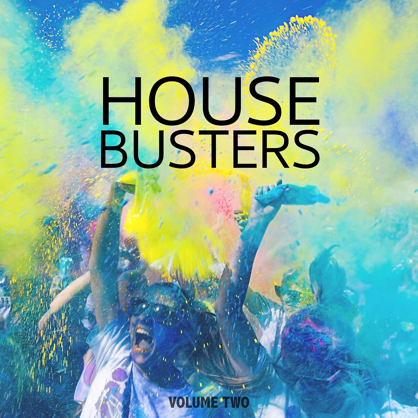 Постер альбома House Busters, Vol. 2