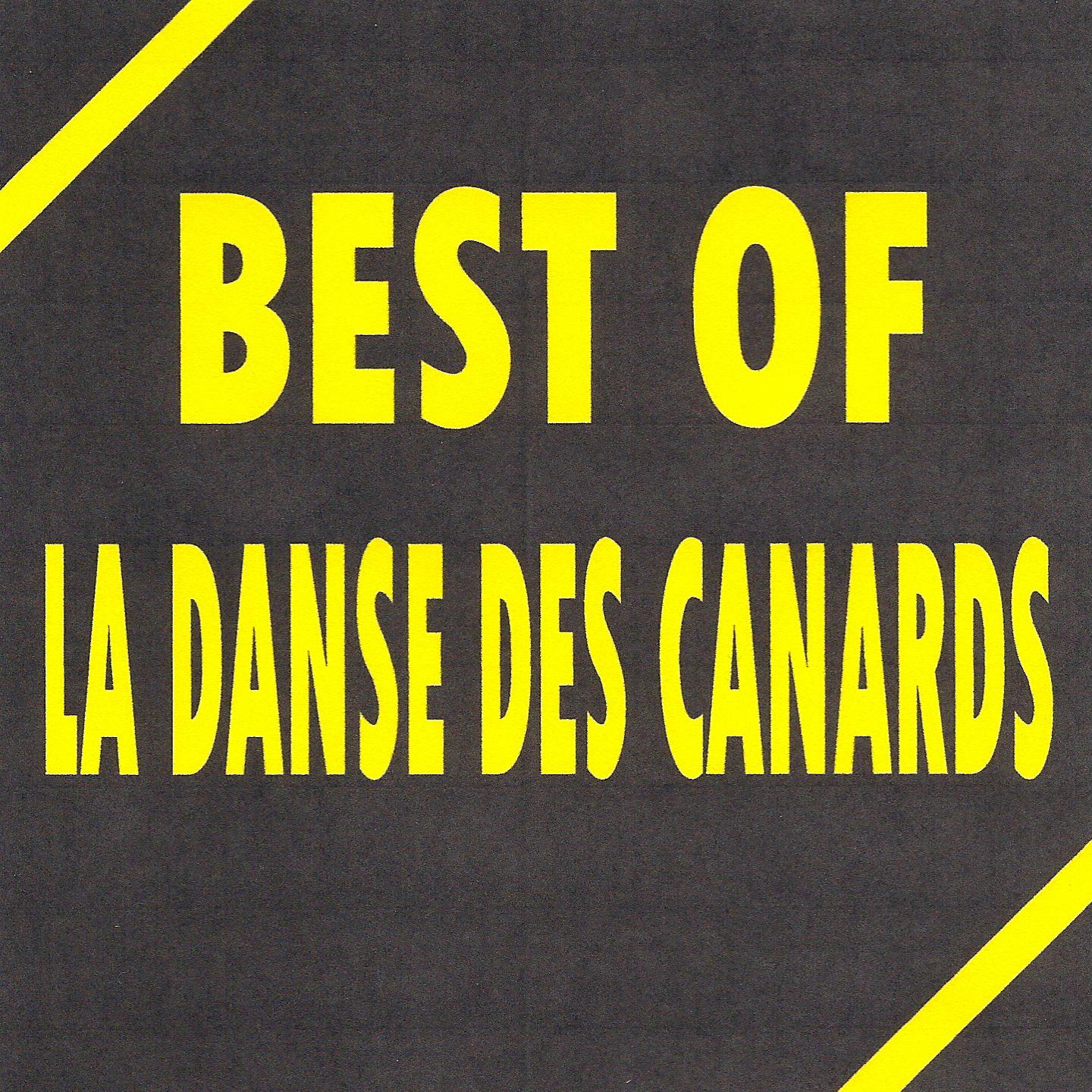 Постер альбома Best of la danse des canards