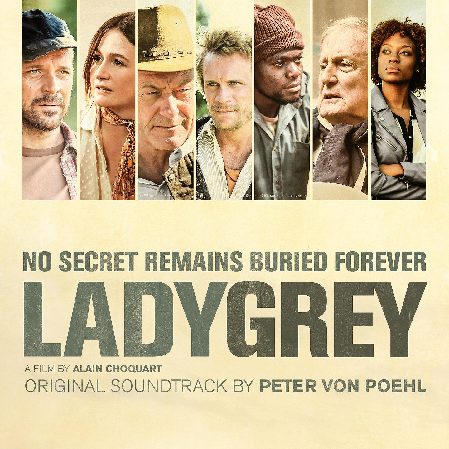 Постер альбома Ladygrey