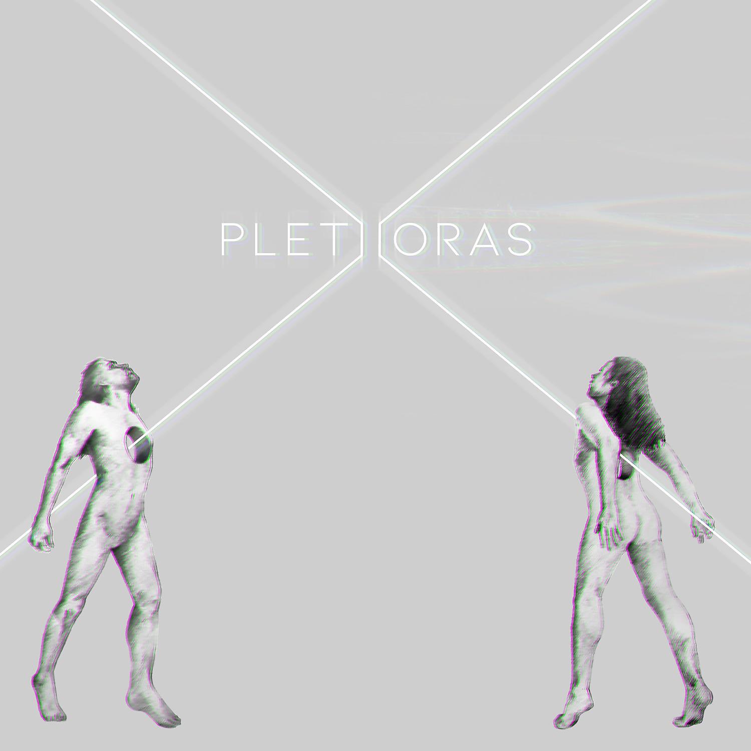 Постер альбома Plethoras