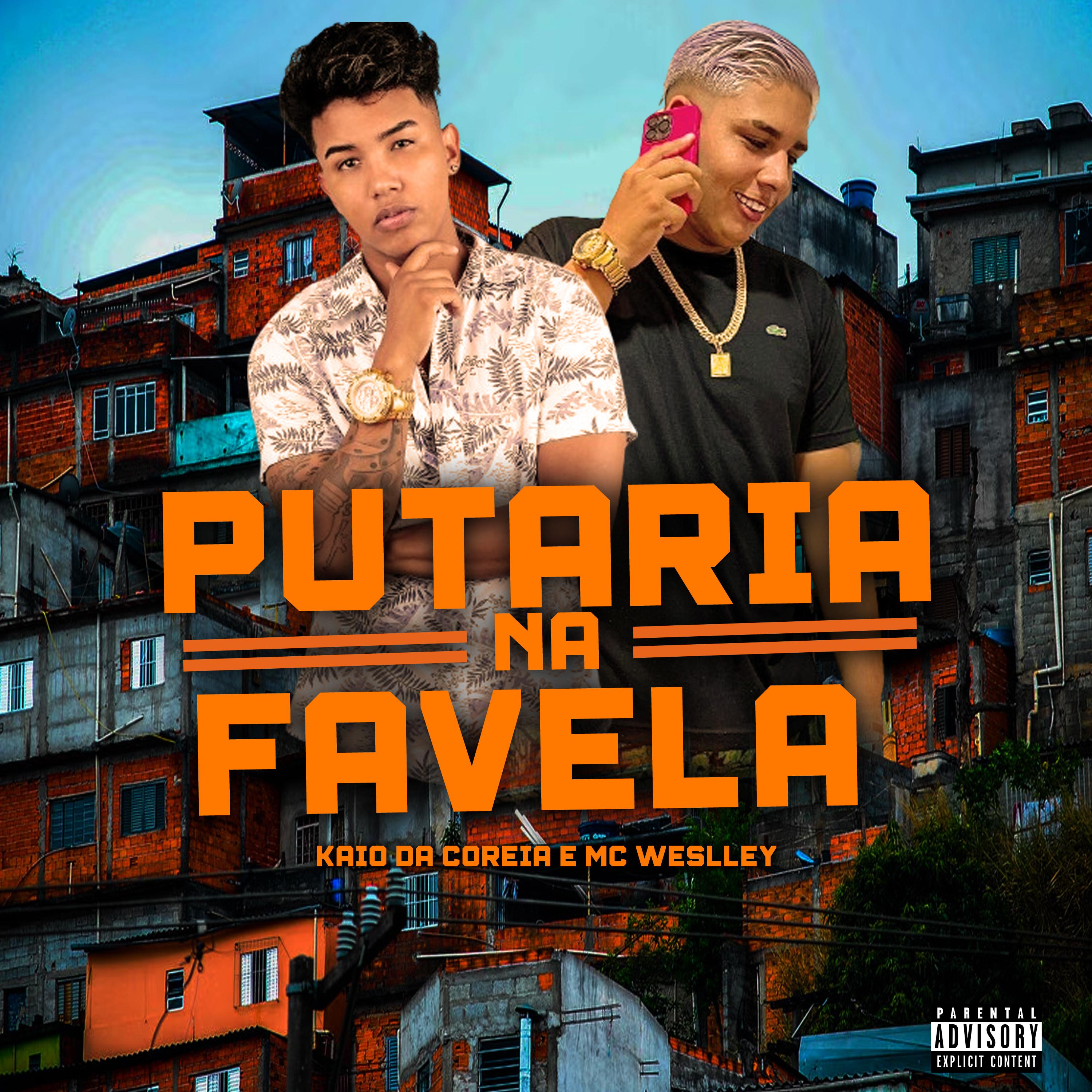 Постер альбома Putaria na Favela