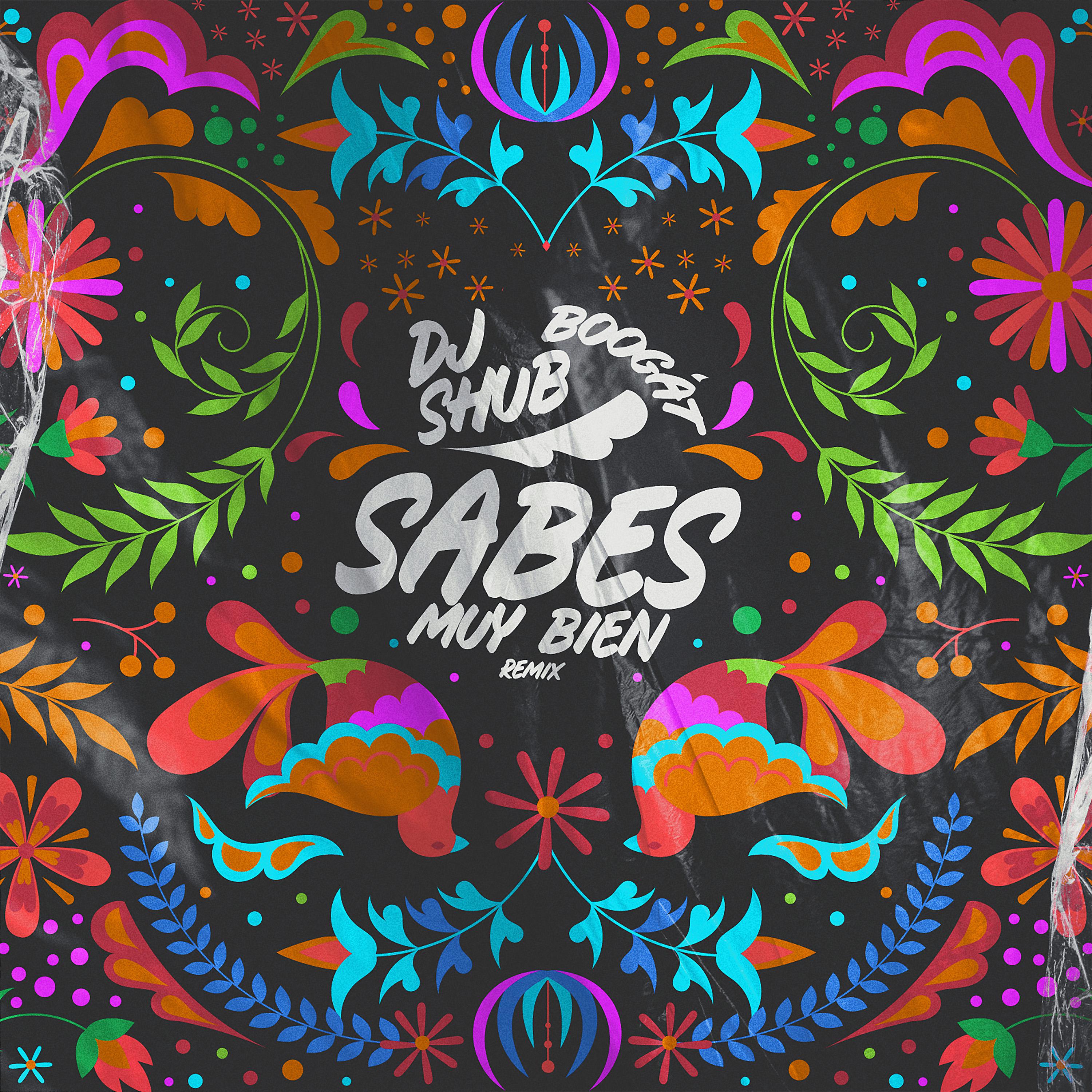 Постер альбома Sabes Muy Bien (DJ Shub Remix)