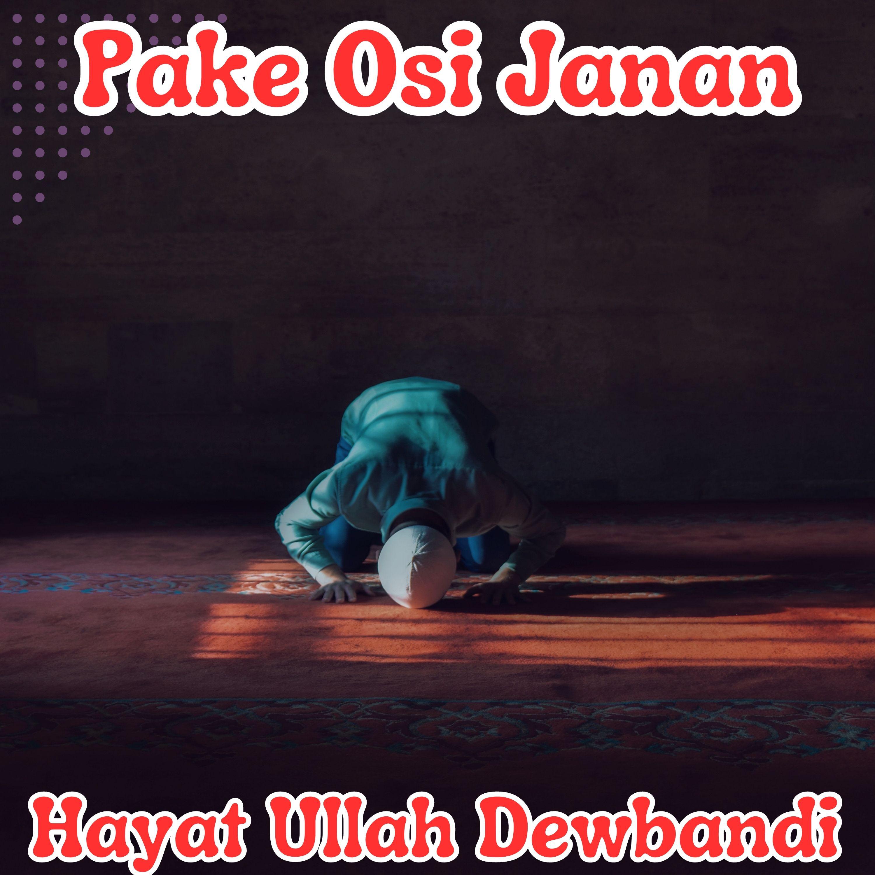 Постер альбома Pake Osi Janan