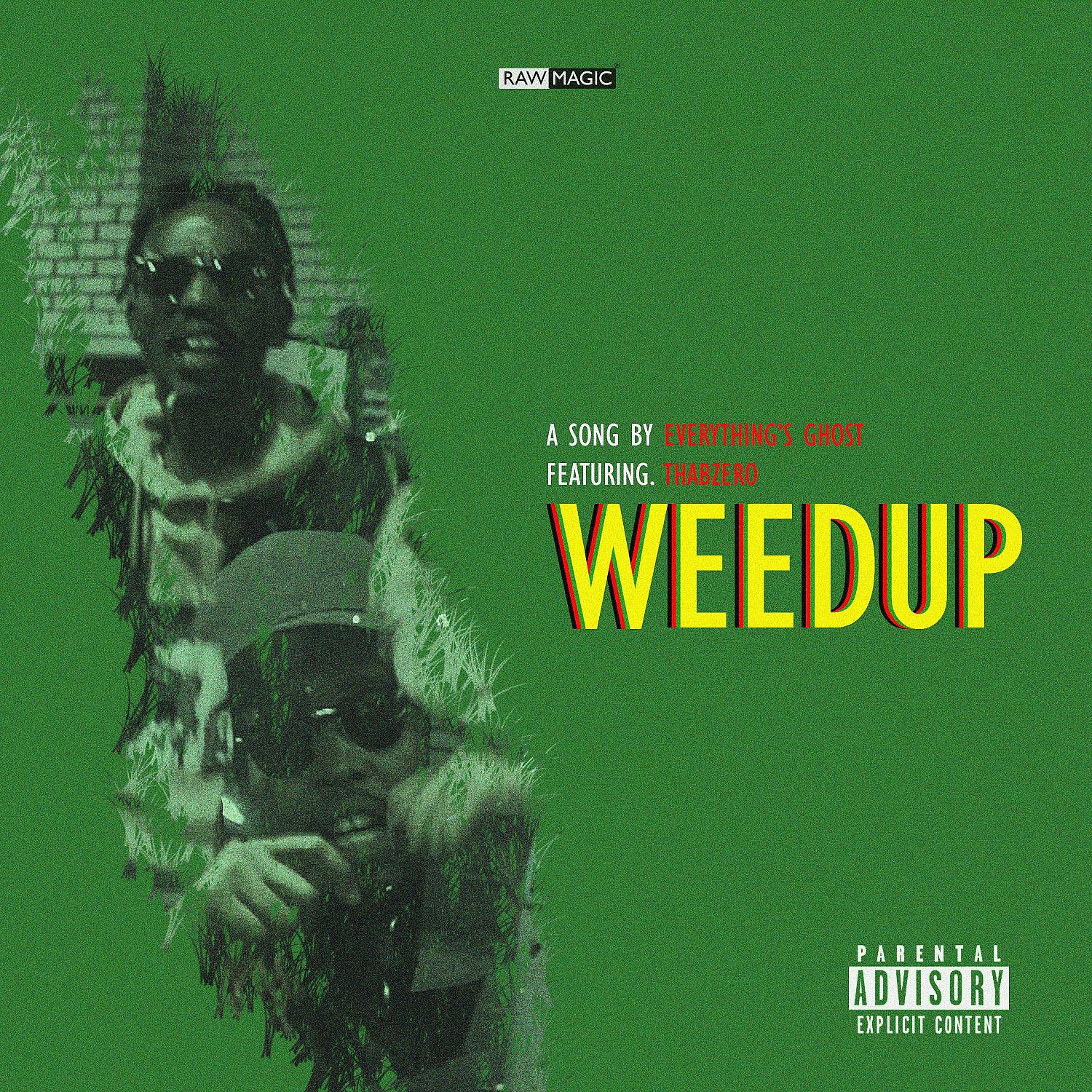 Постер альбома Weedup (feat. Thabzero)
