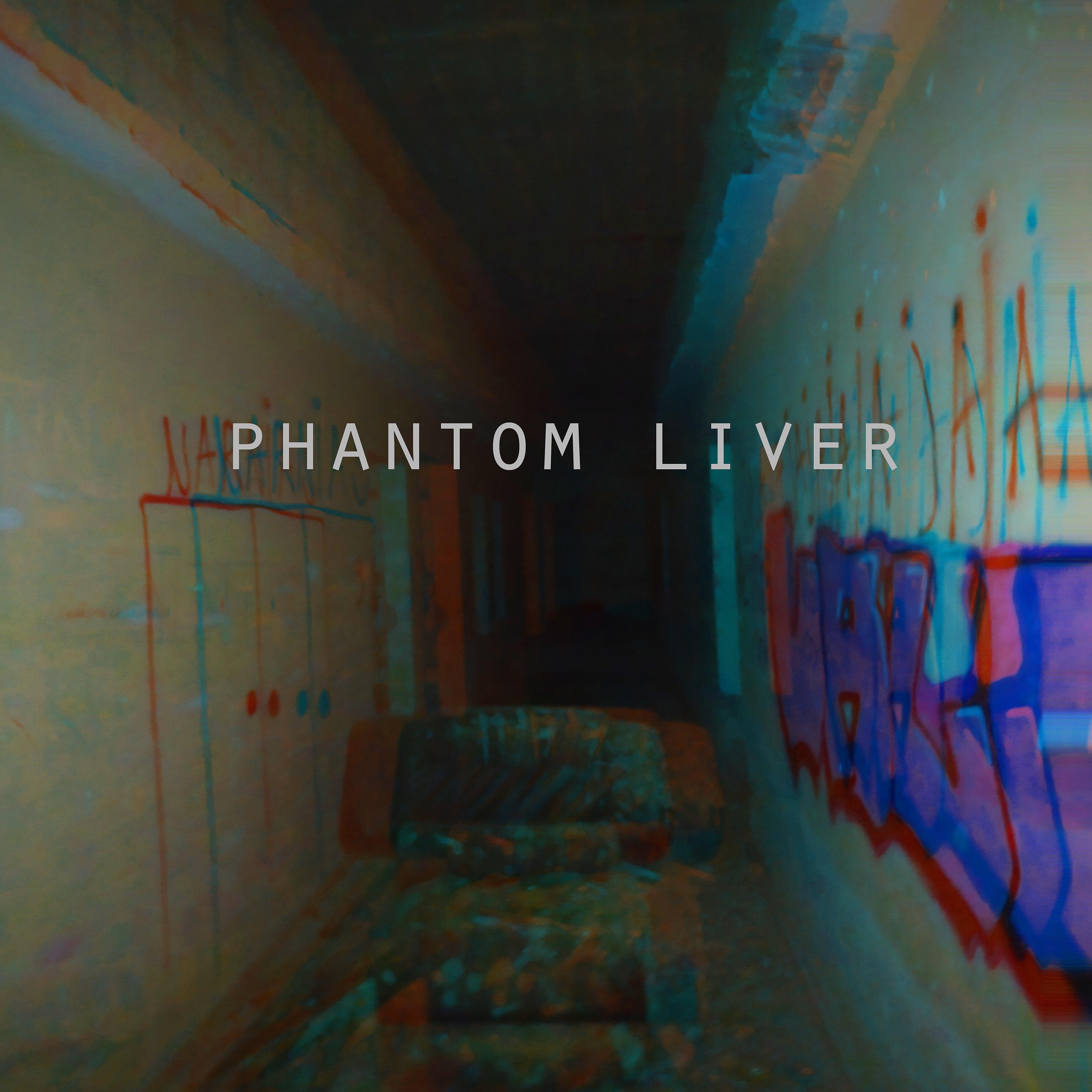 Постер альбома Phantom Liver