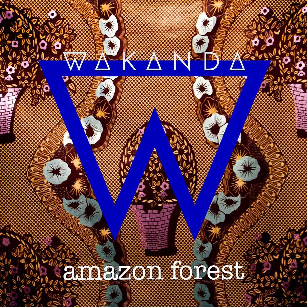 Постер альбома Amazon Forest