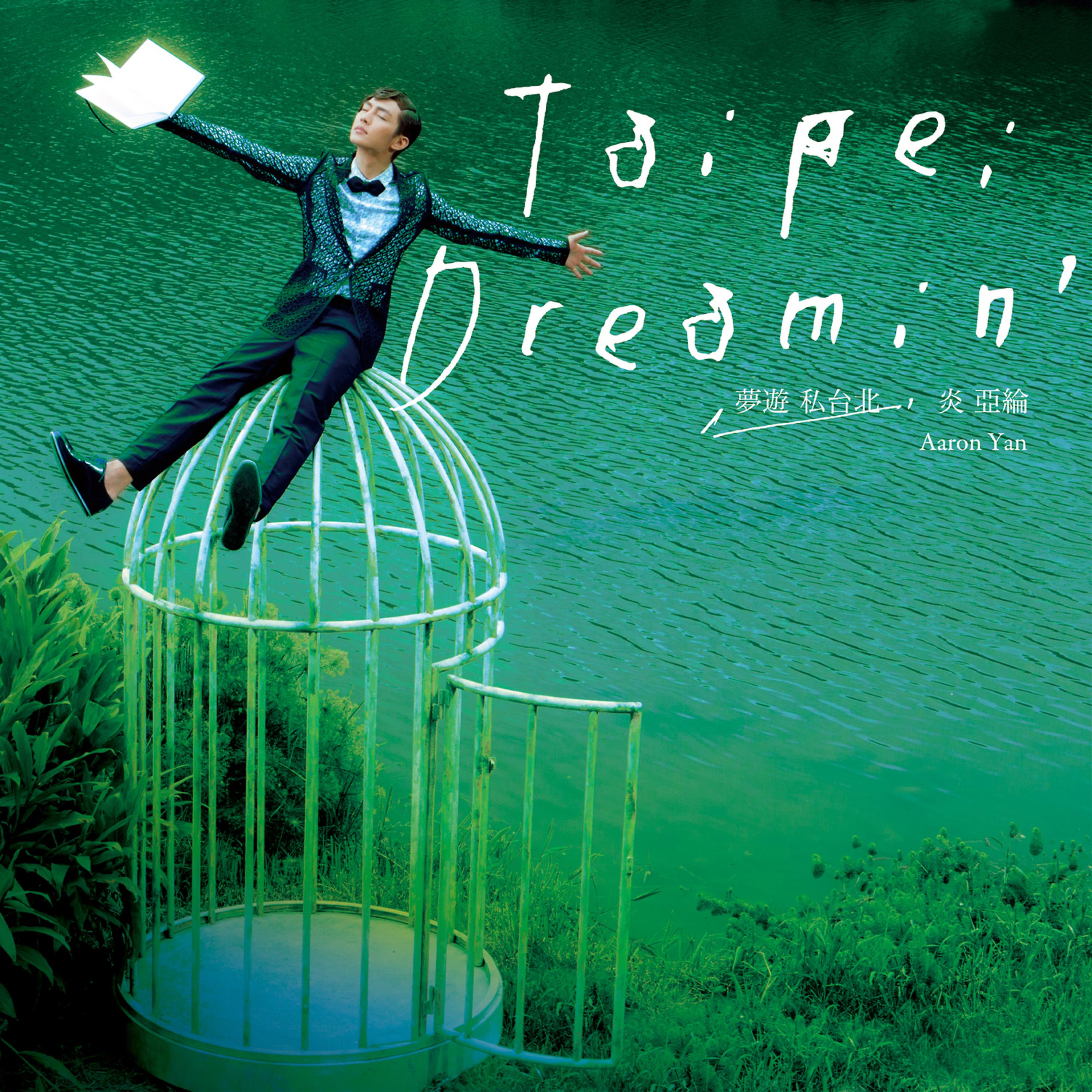 Постер альбома Taipei Dreamin'