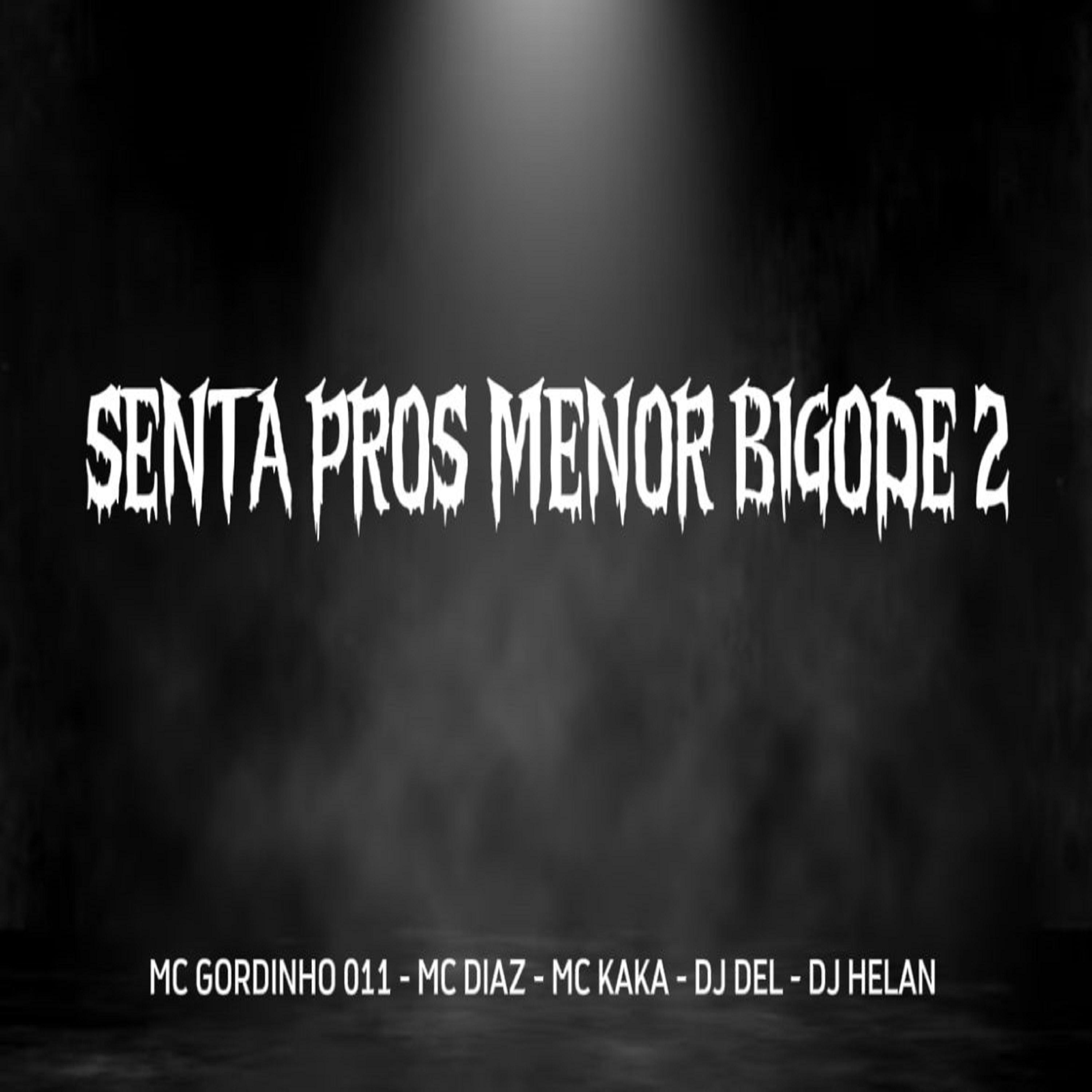 Постер альбома Senta Pros Menor Bigode 2