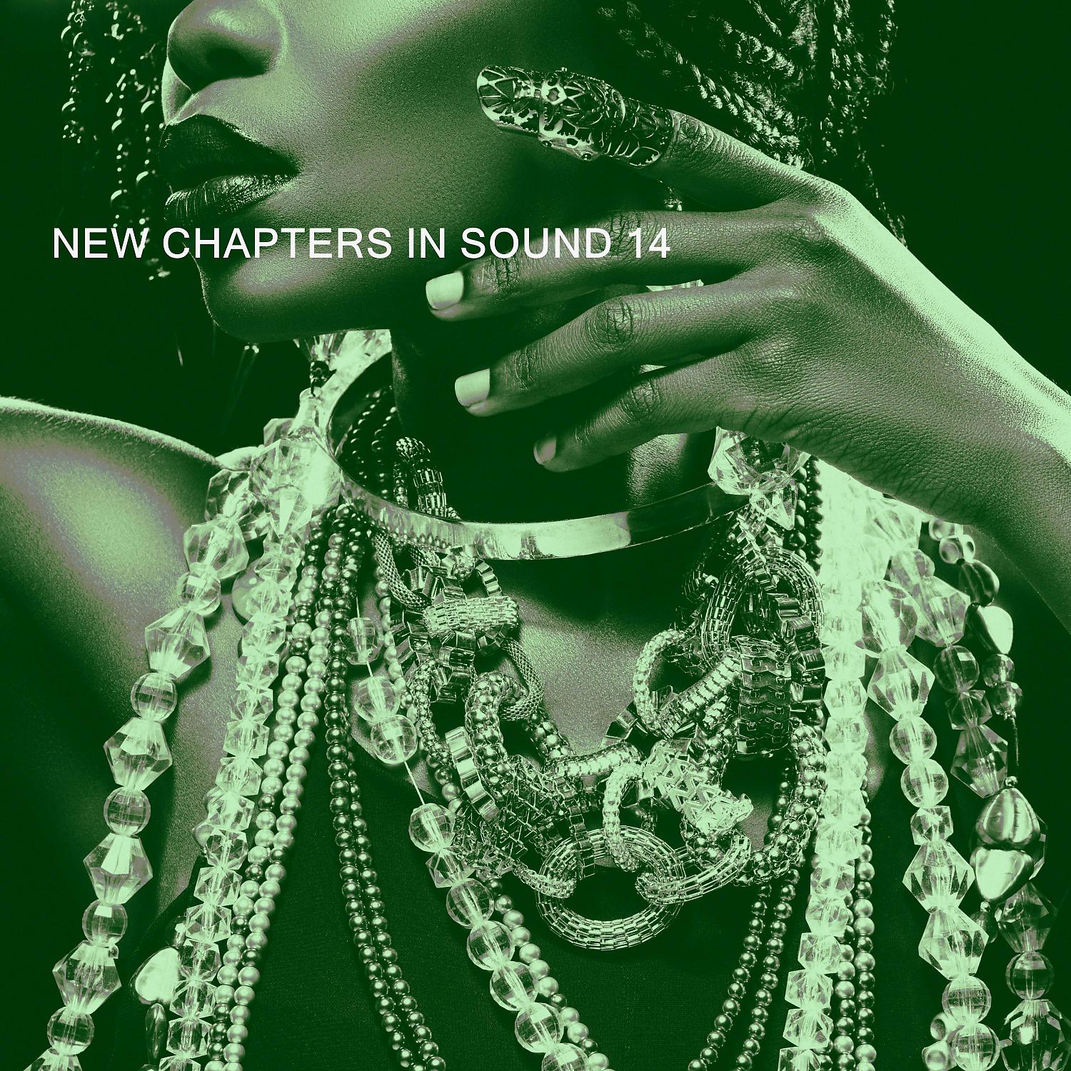 Постер альбома NEW CHAPTERS IN SOUND 14