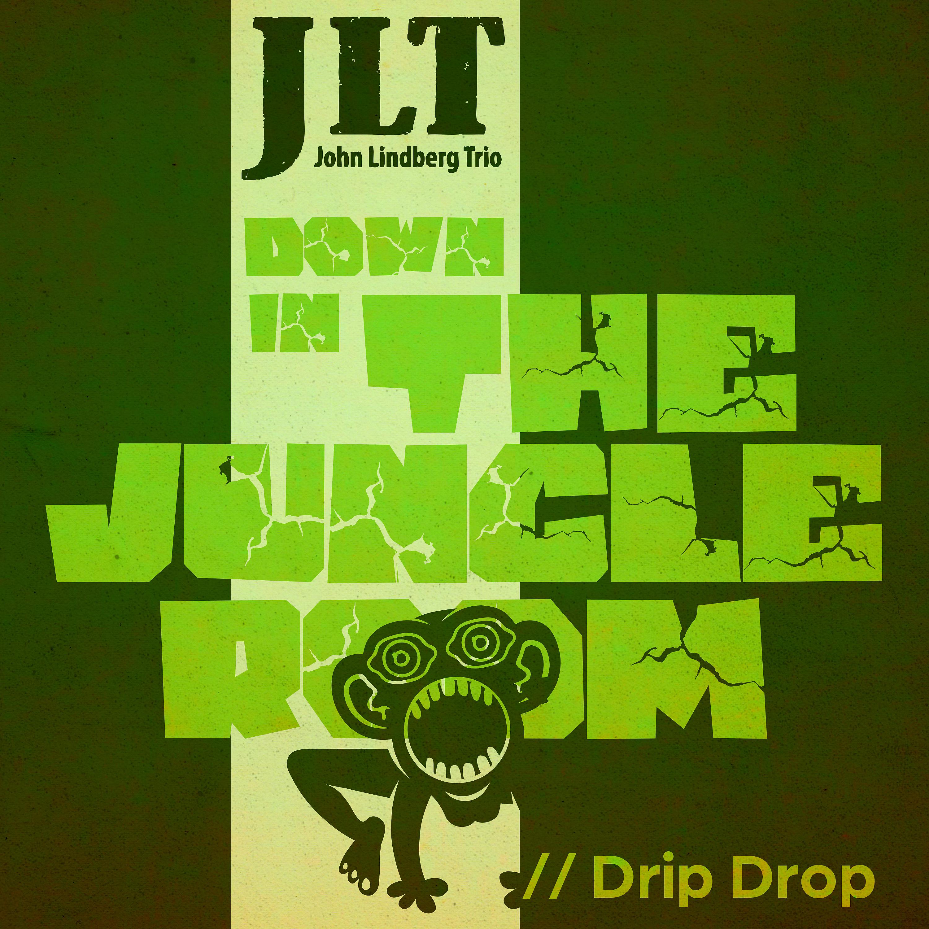 Постер альбома Down in the Jungle Room