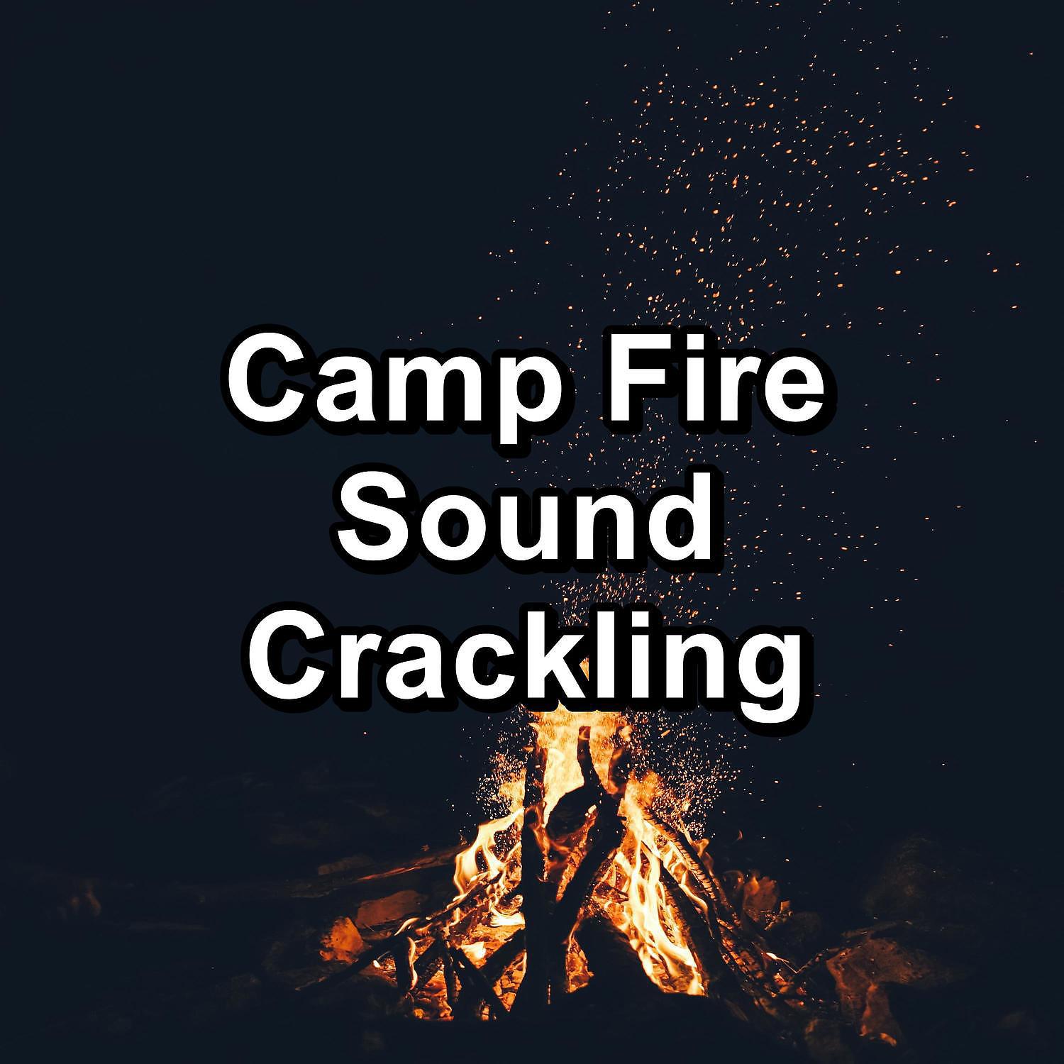 Постер альбома Camp Fire Sound Crackling