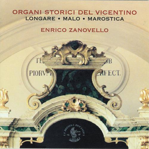 Постер альбома Historical Organs of Vicenza Province (Italy)