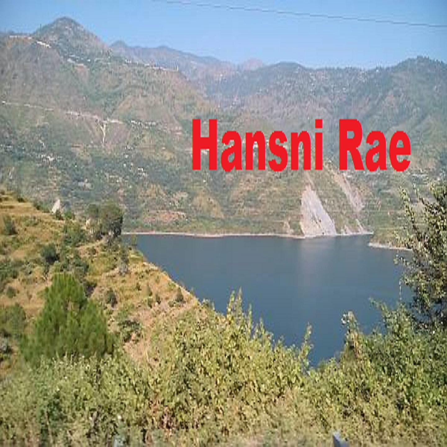 Постер альбома Hansni Rae