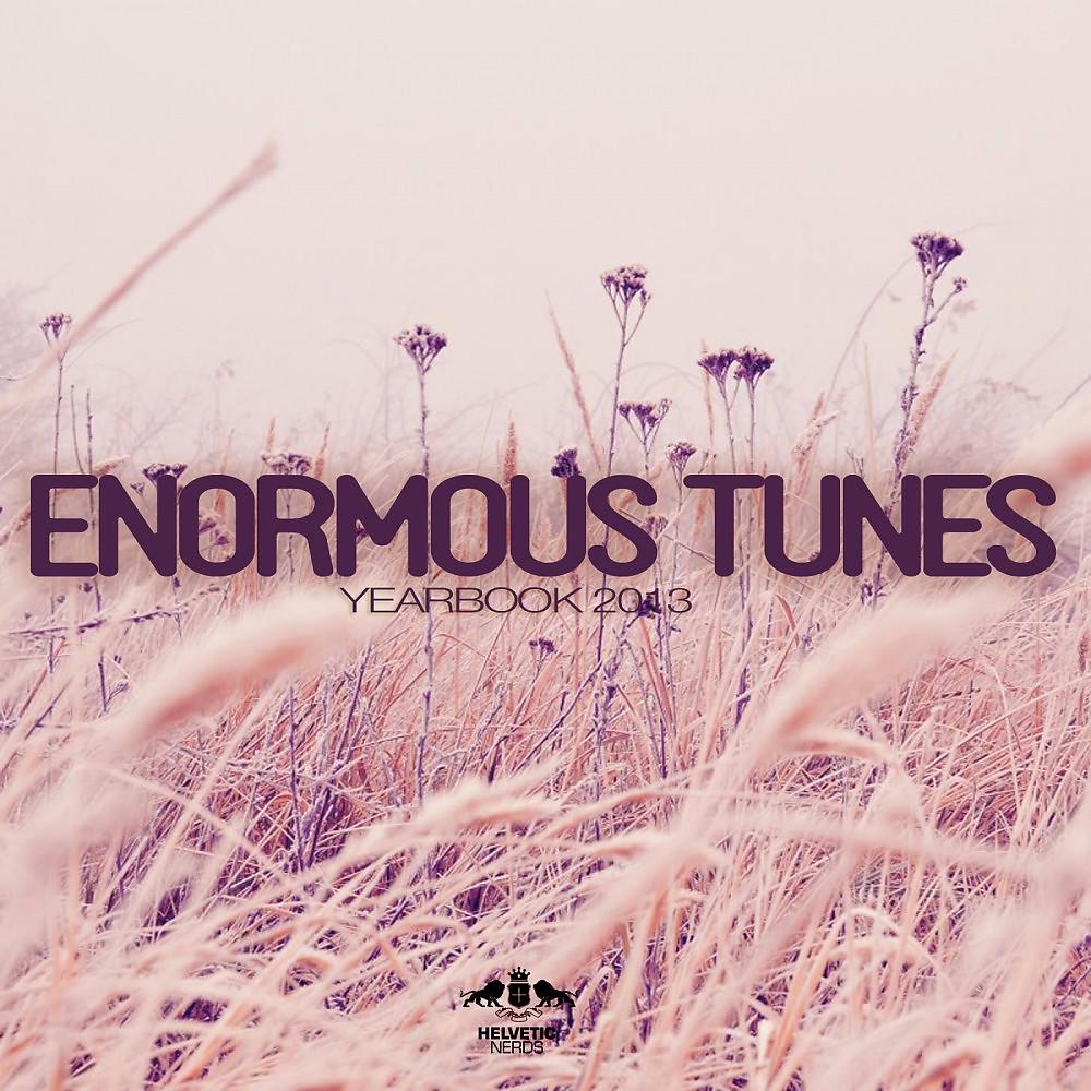 Постер альбома Enormous Tunes - Yearbook 2013