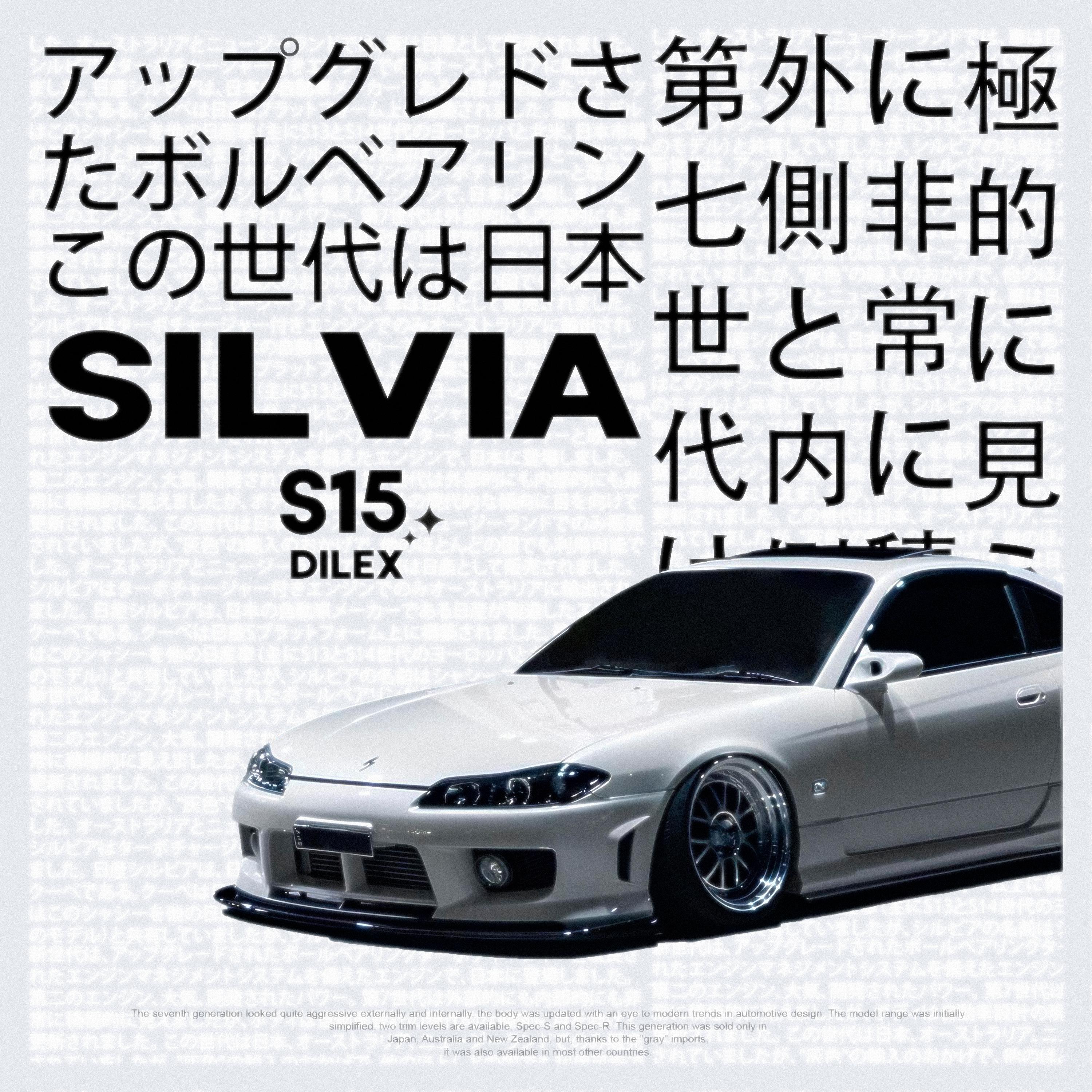 Постер альбома SILVIA S15