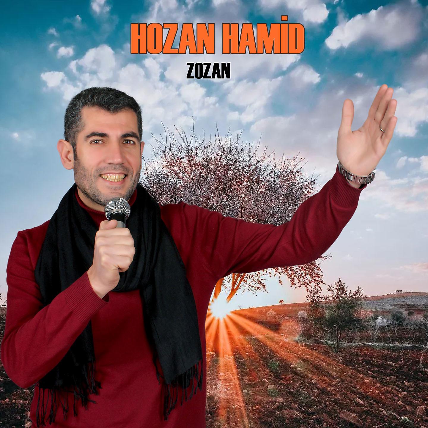 Постер альбома Zozan