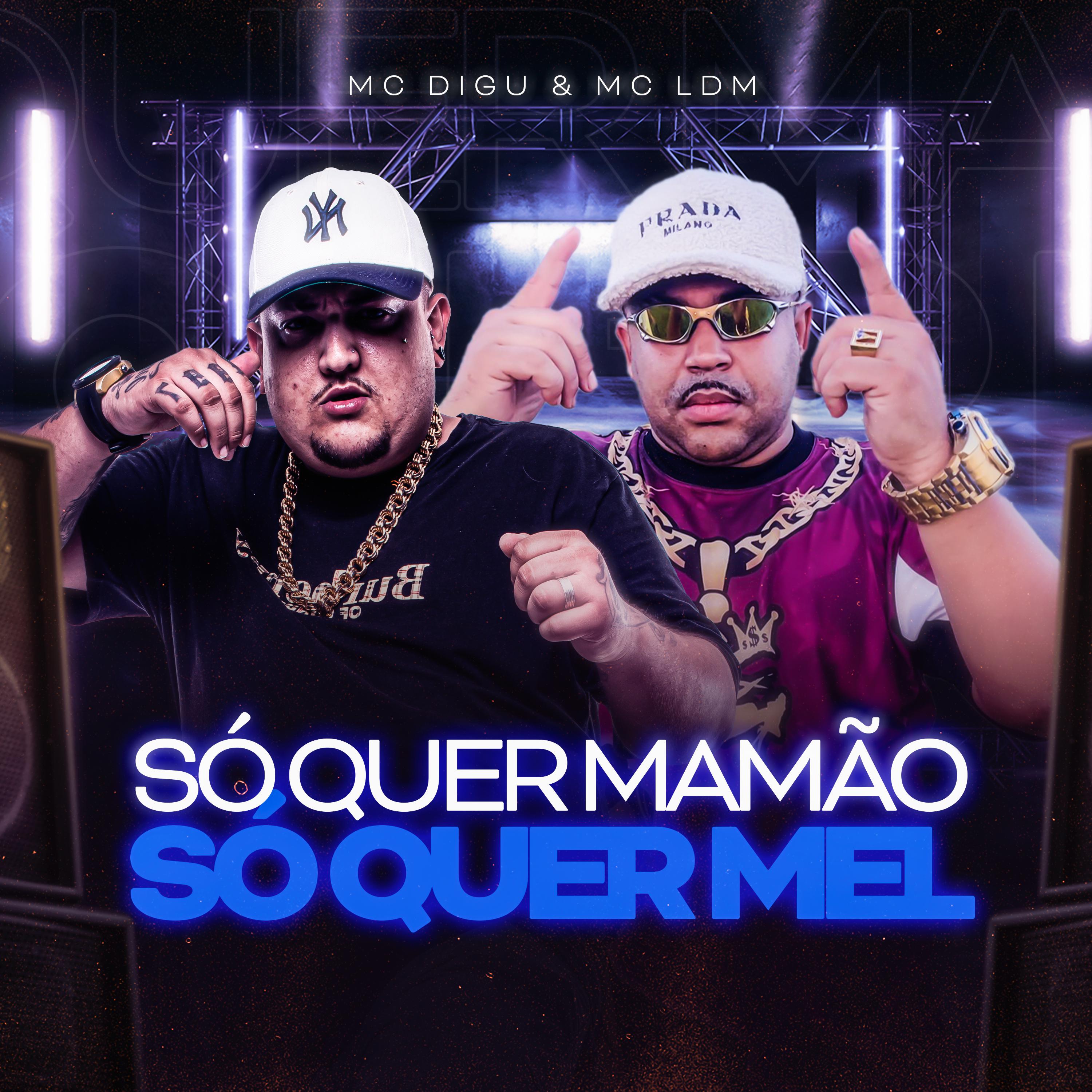 Постер альбома Só Quer Mamão, Só Quer Mel