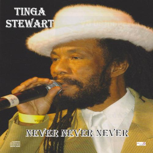 Постер альбома Never Never Never - Single