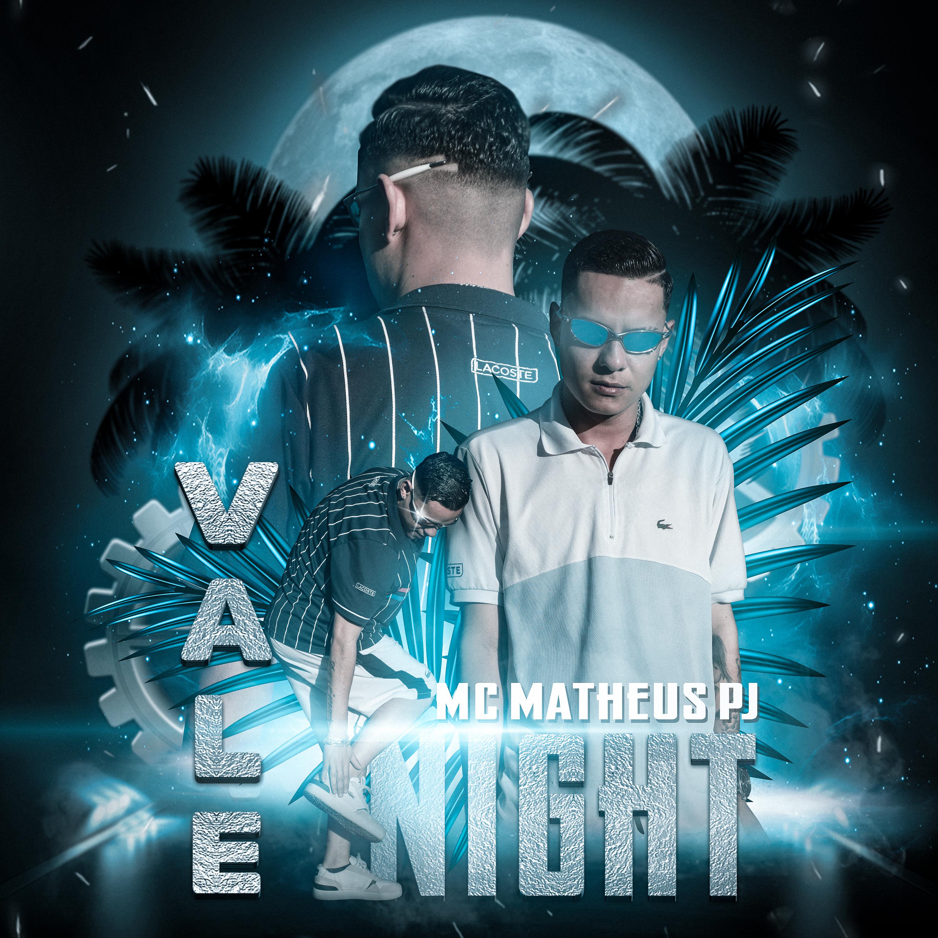 Постер альбома Vale Night