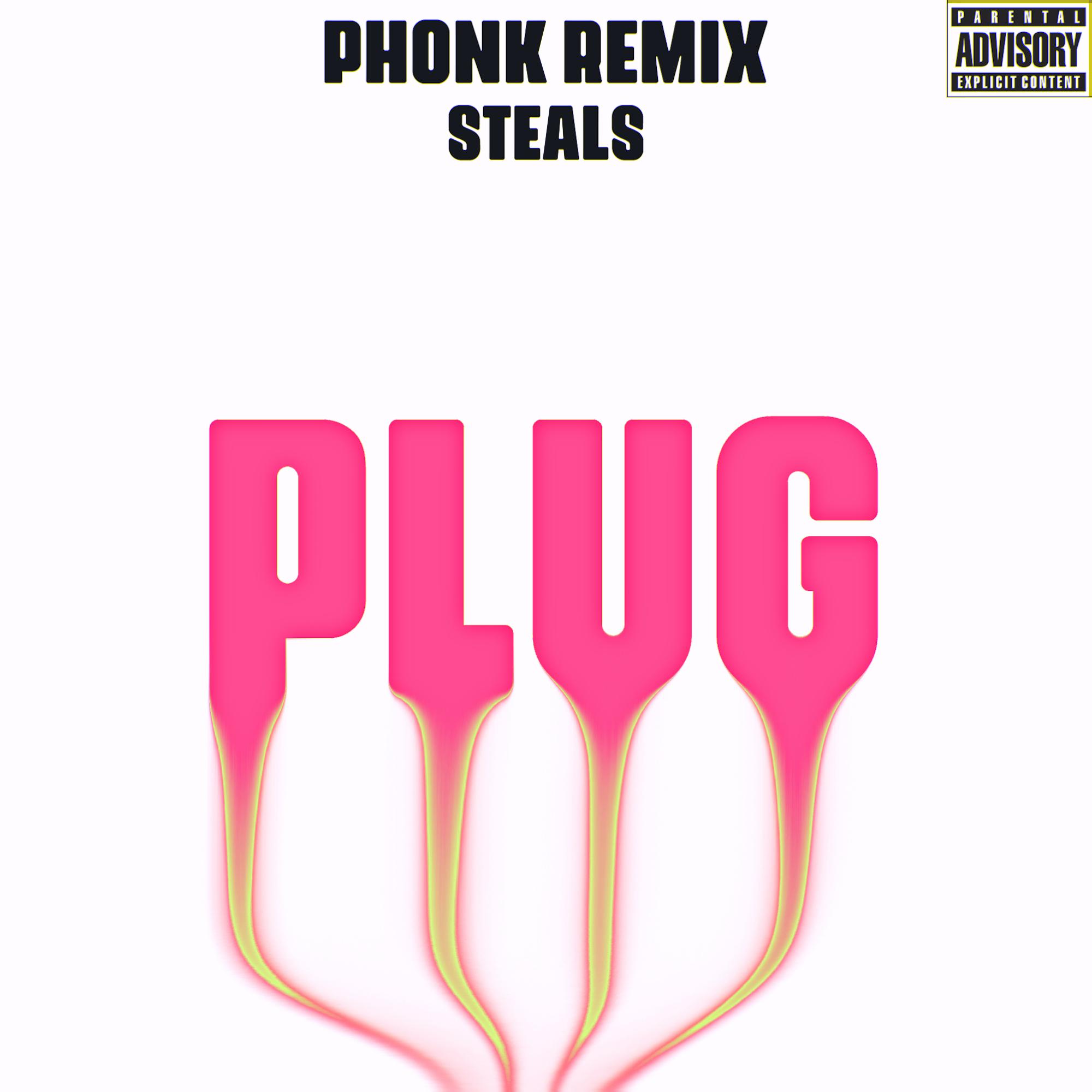Постер альбома Plug (Phonk Remix)